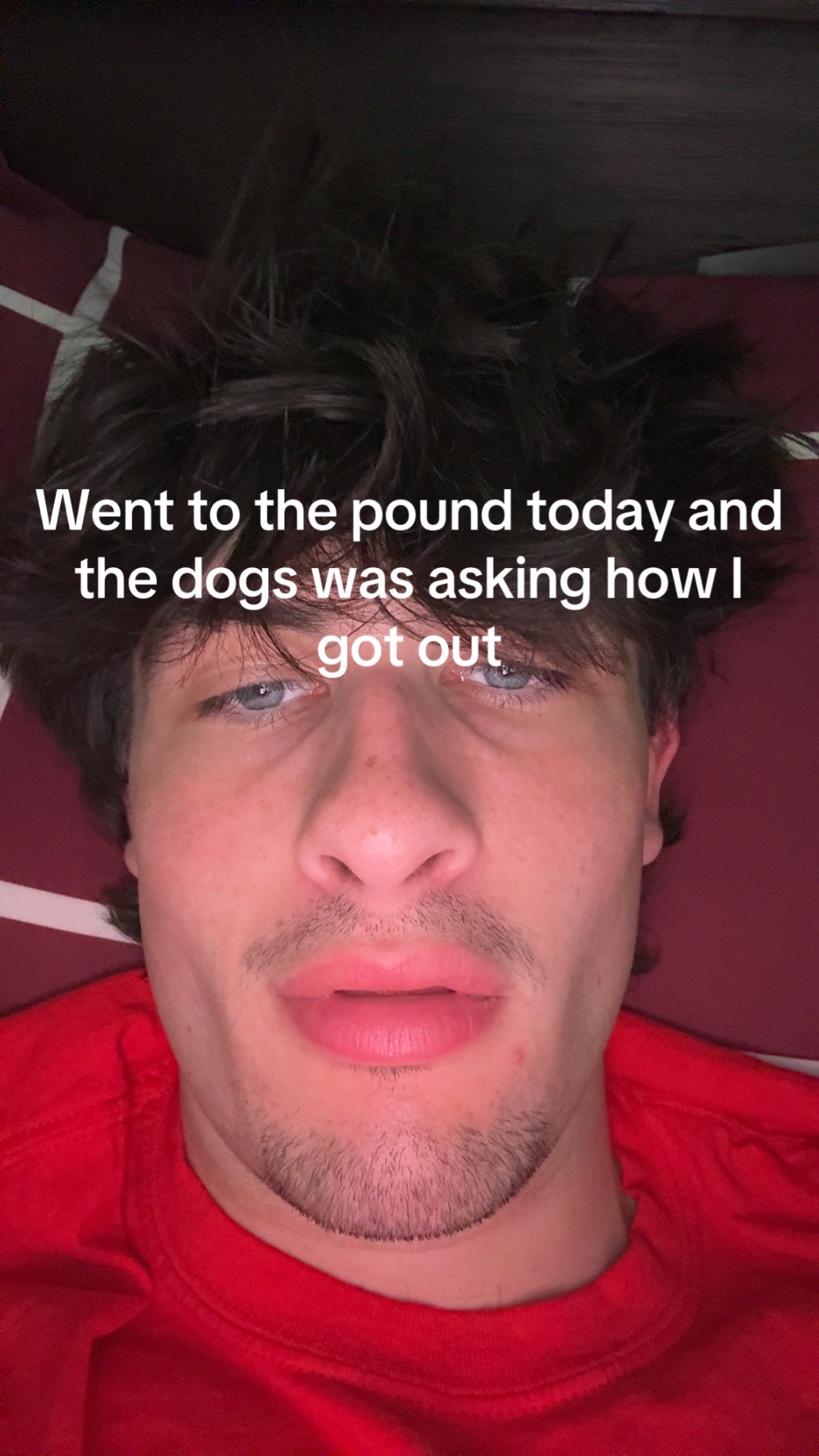 @🆕⏺️