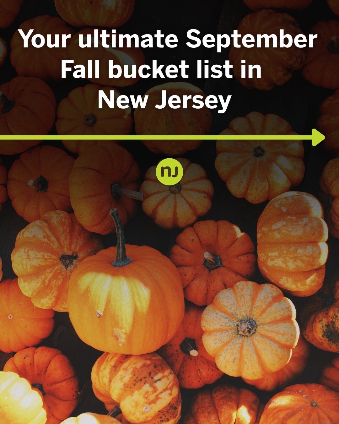 @NJ.com | New Jersey News