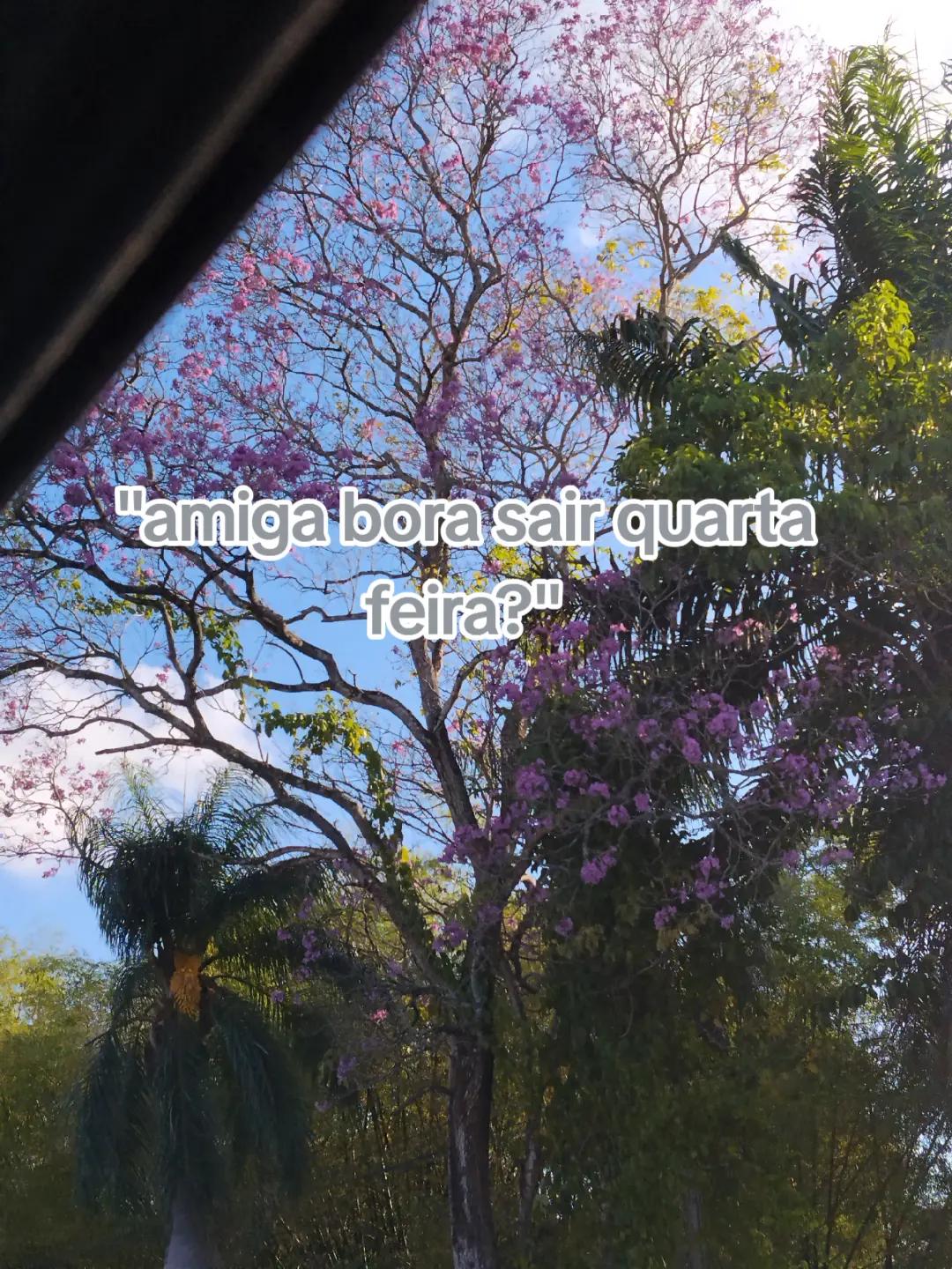 @✨May✨