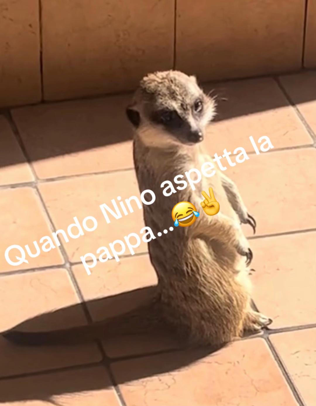 @Andrea Petrillo