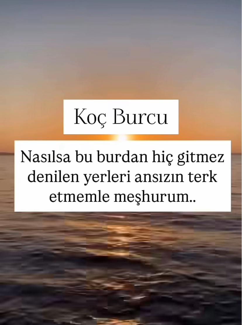 @kocburcu6