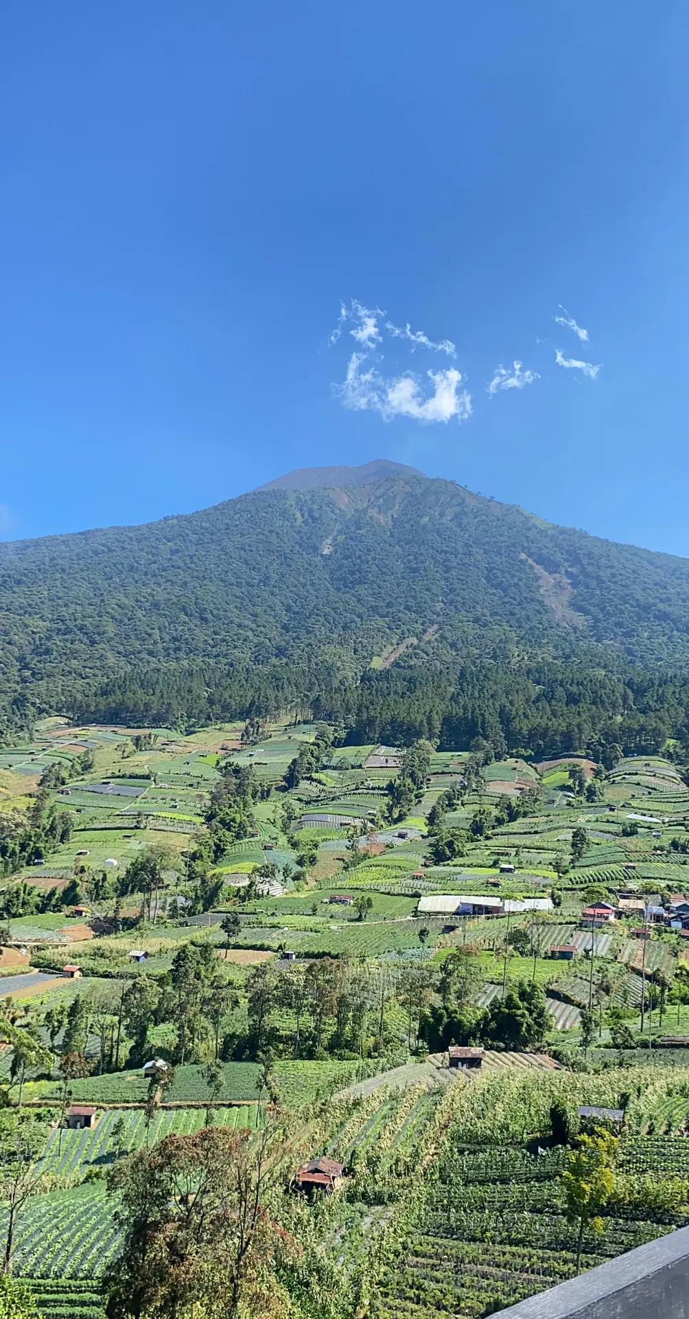 @Viaa Khaira 🥝