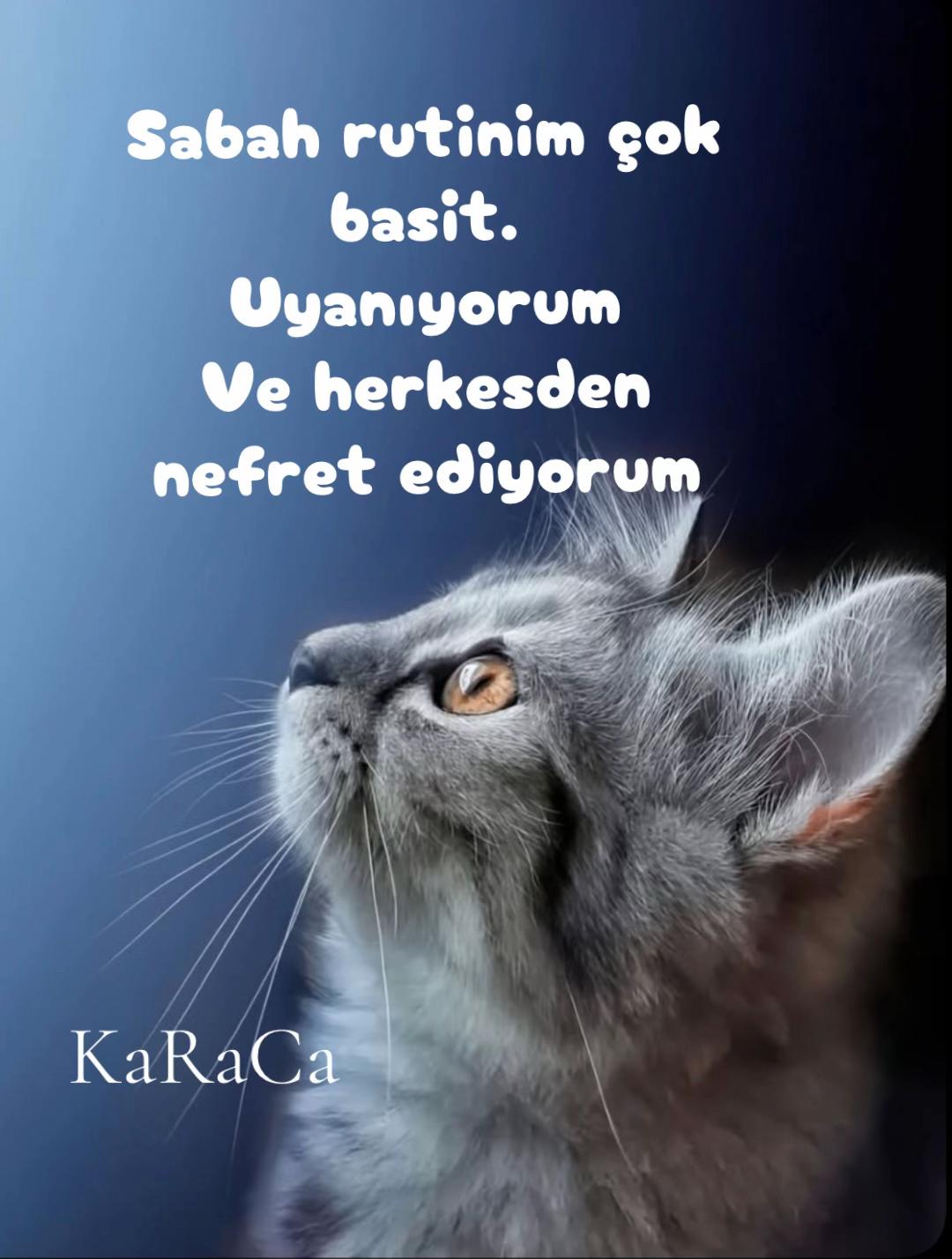 @KaRaCa