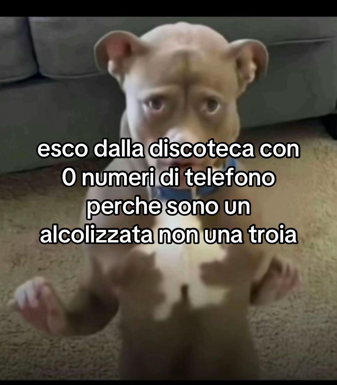 @micettadelulu