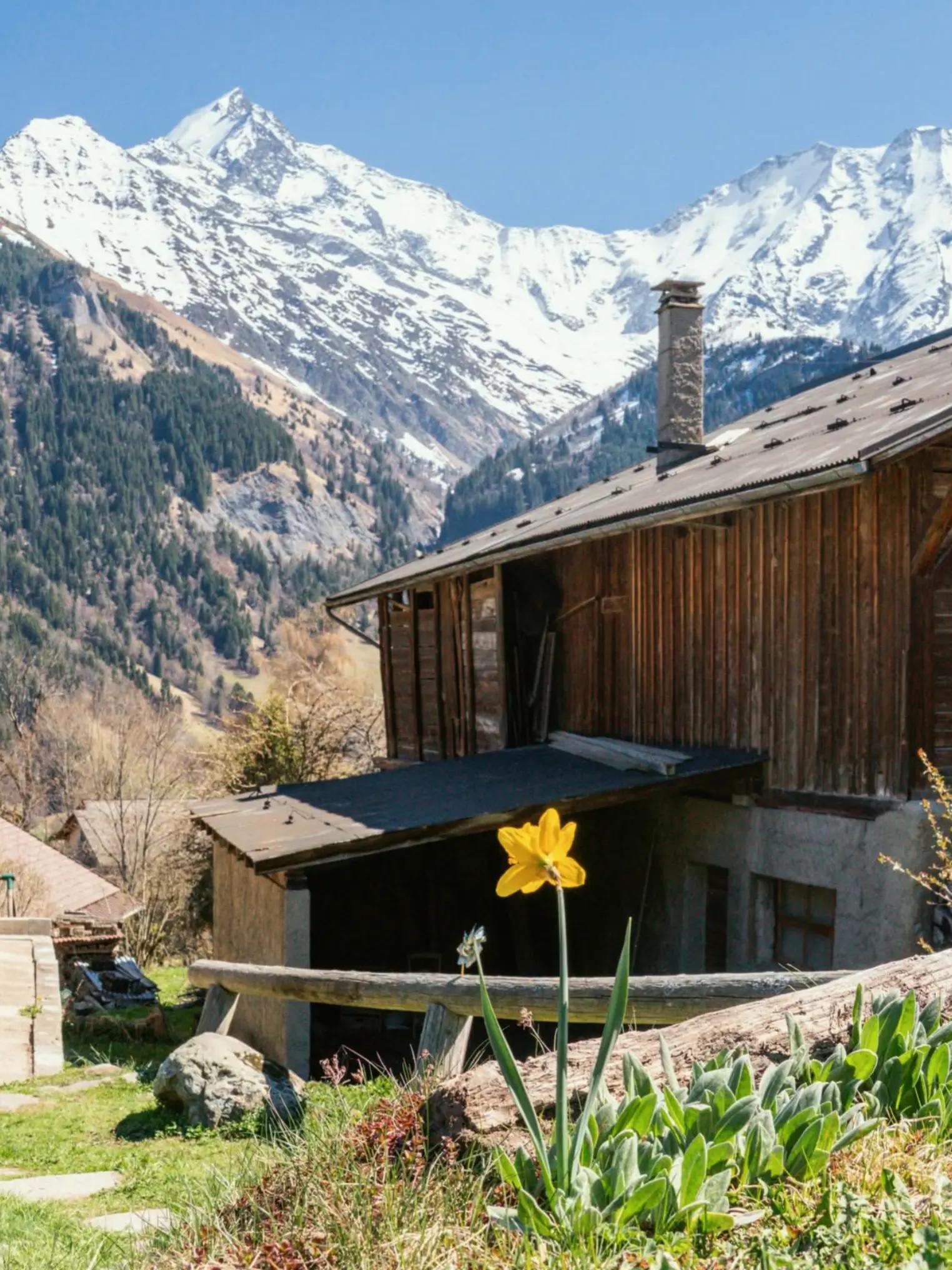 @Alpes_Altitude