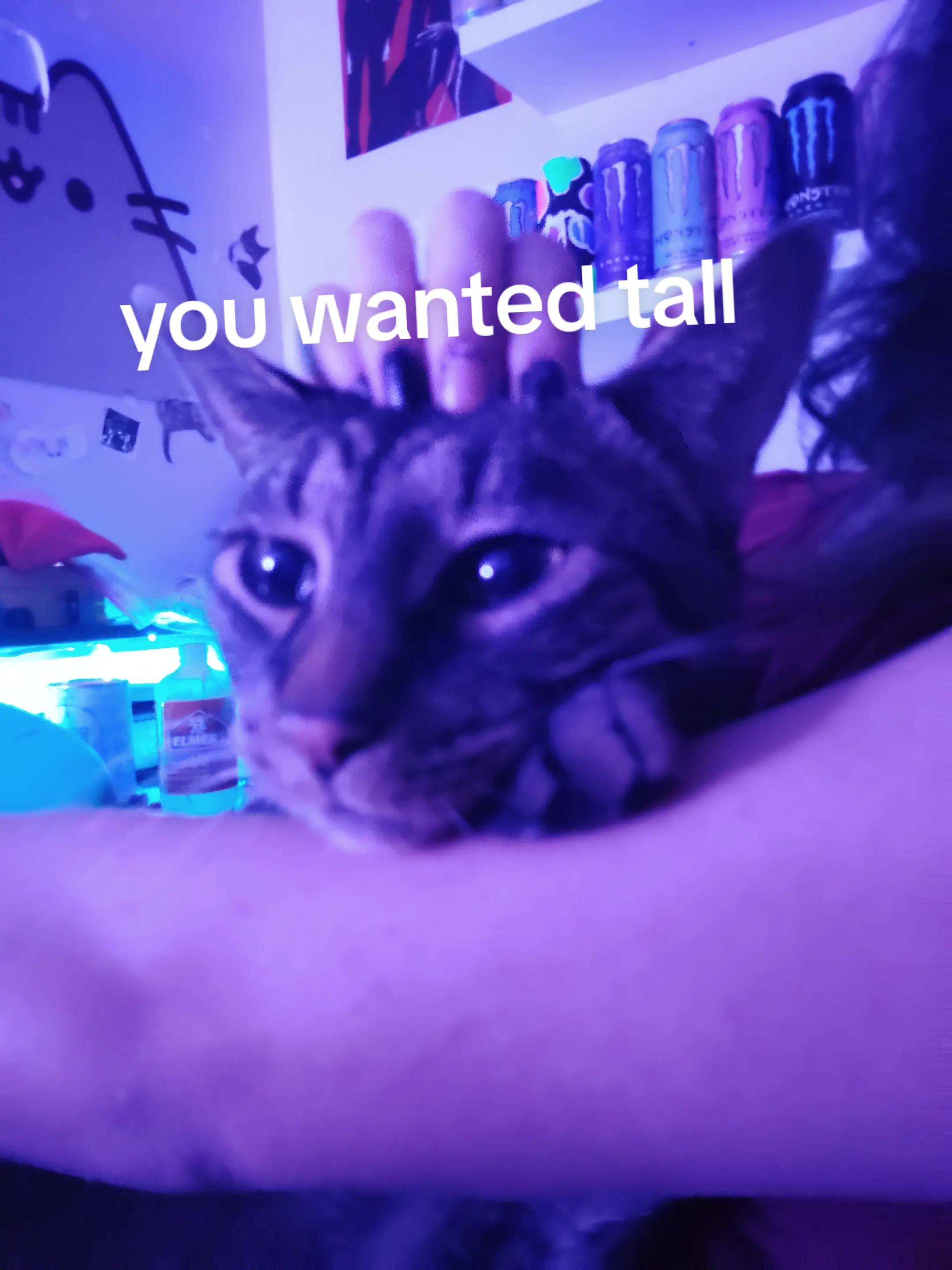 @PlurDragon