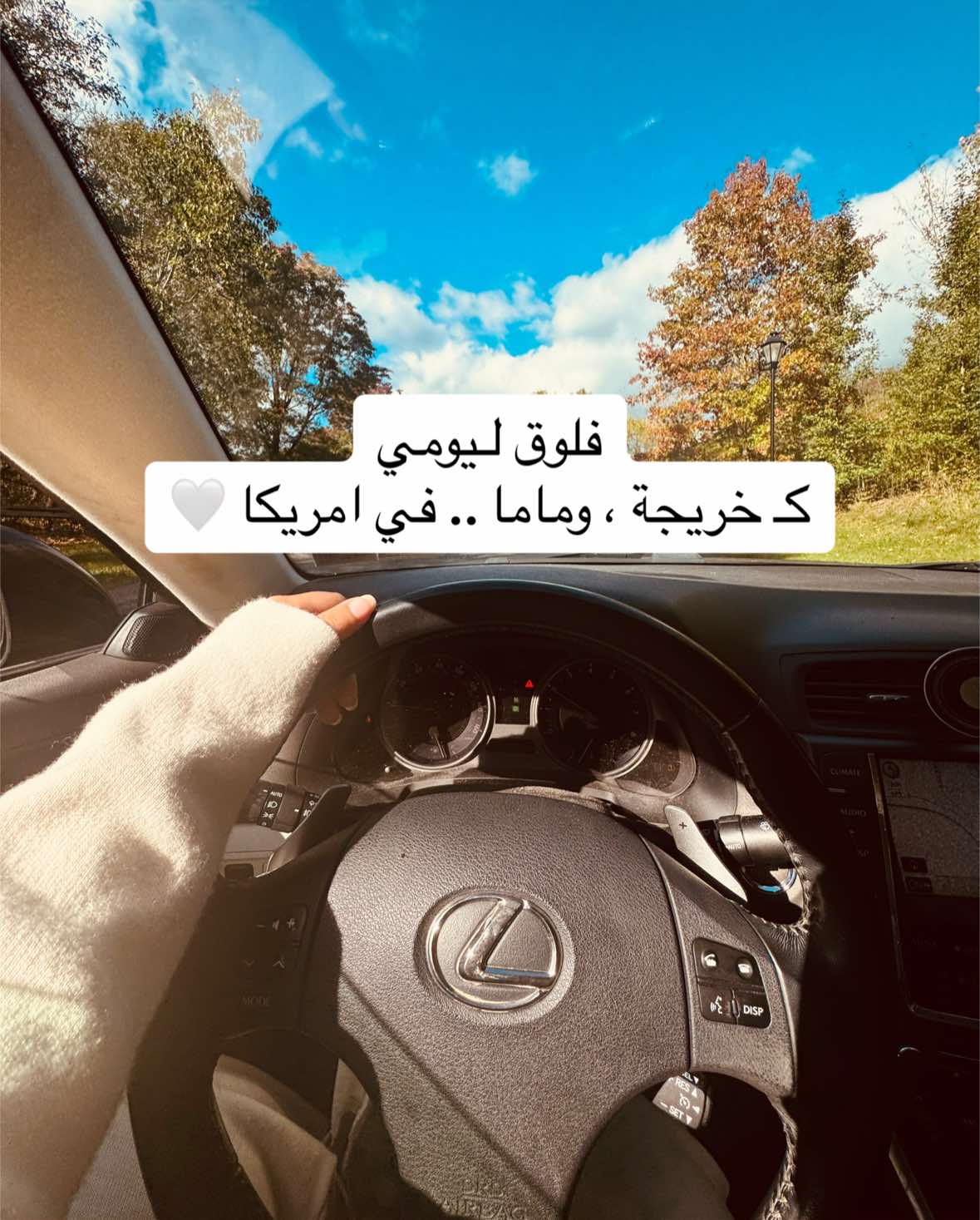 @حور في امريكا