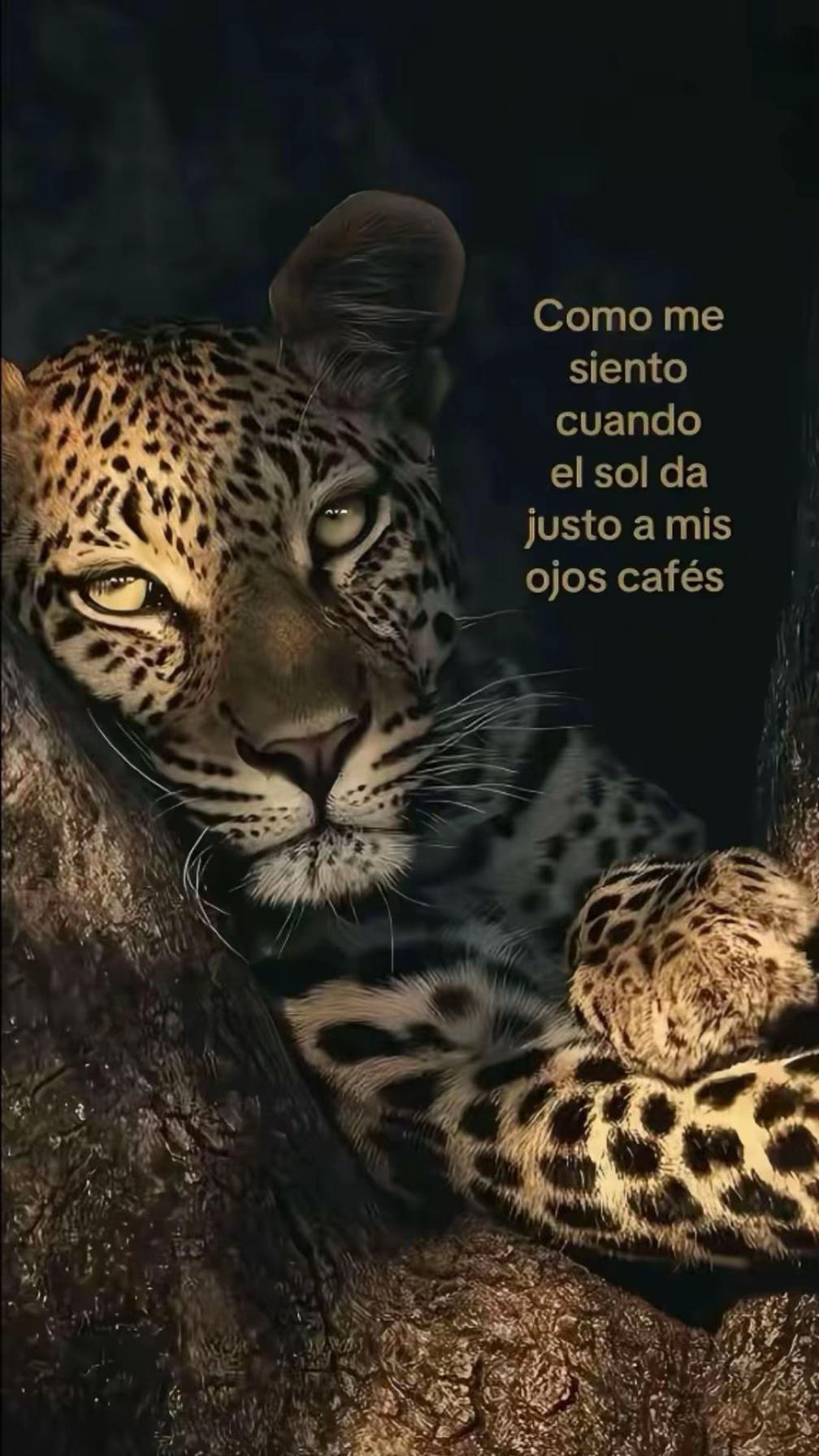 @ame