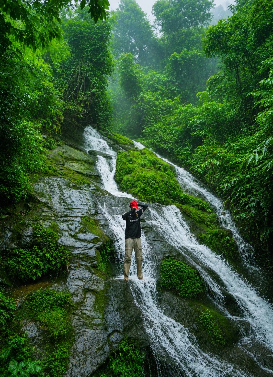 @H₂SO₄🦊