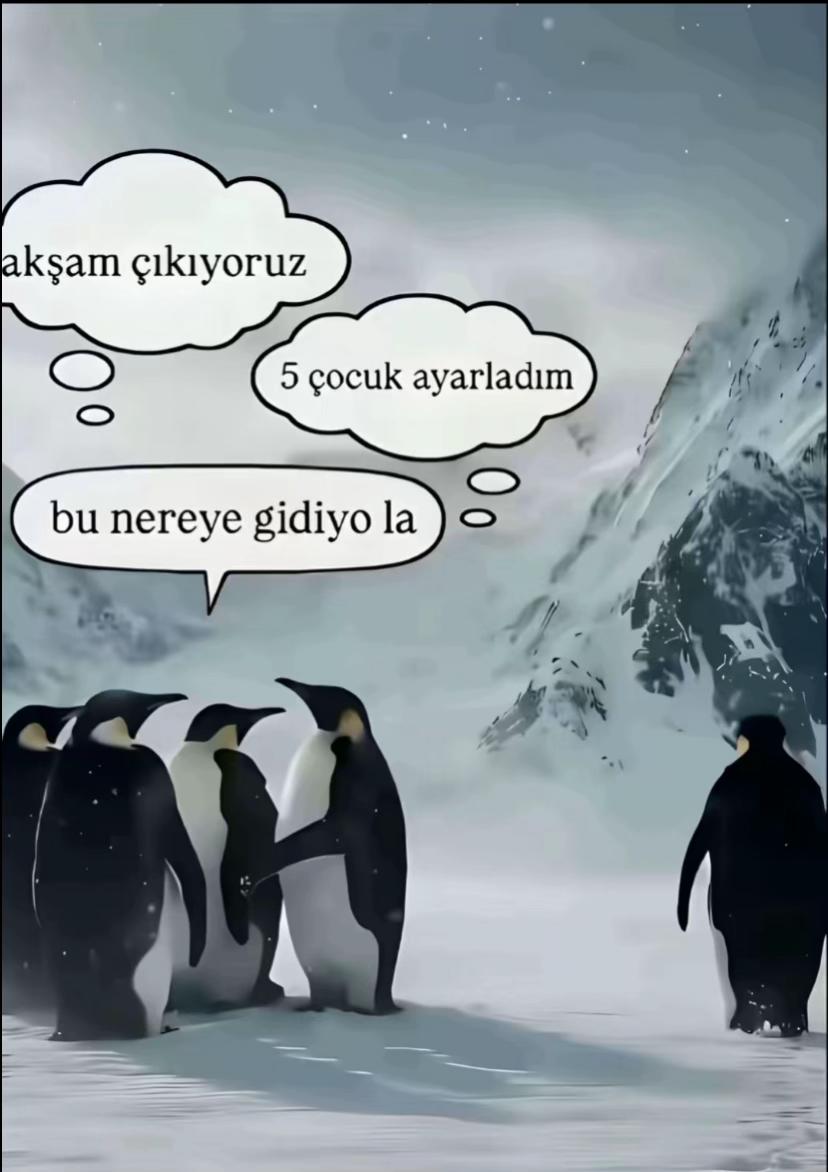 @senaa🫧❤️🩹⌛