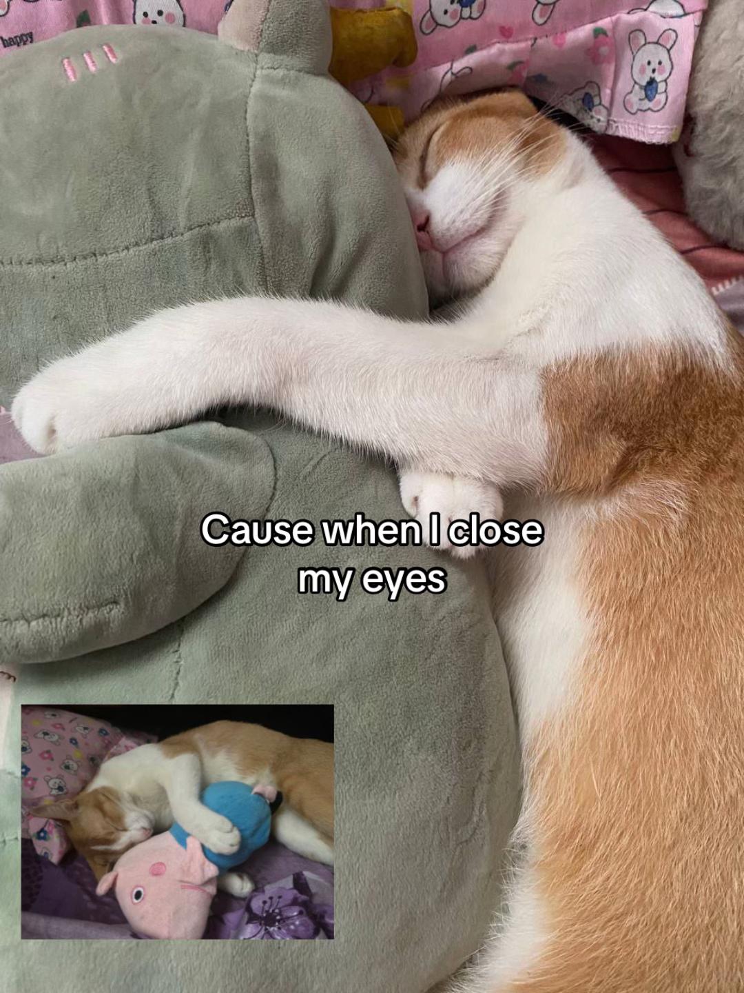 @𝐻𝑒lly