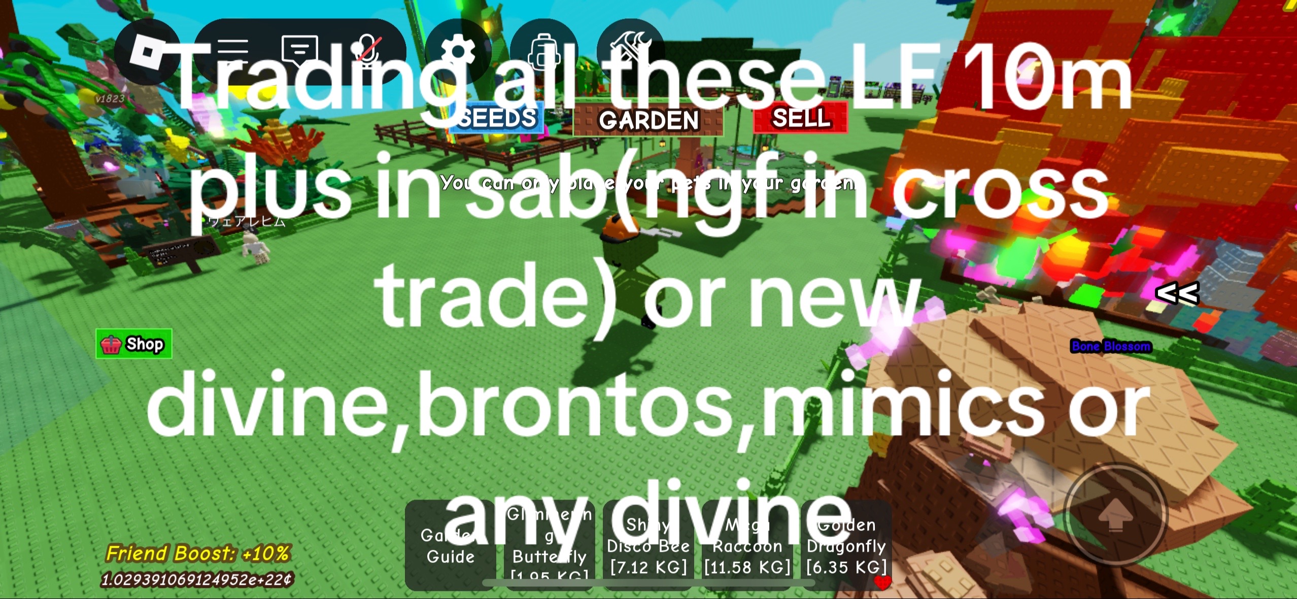 @Sab and gag trader