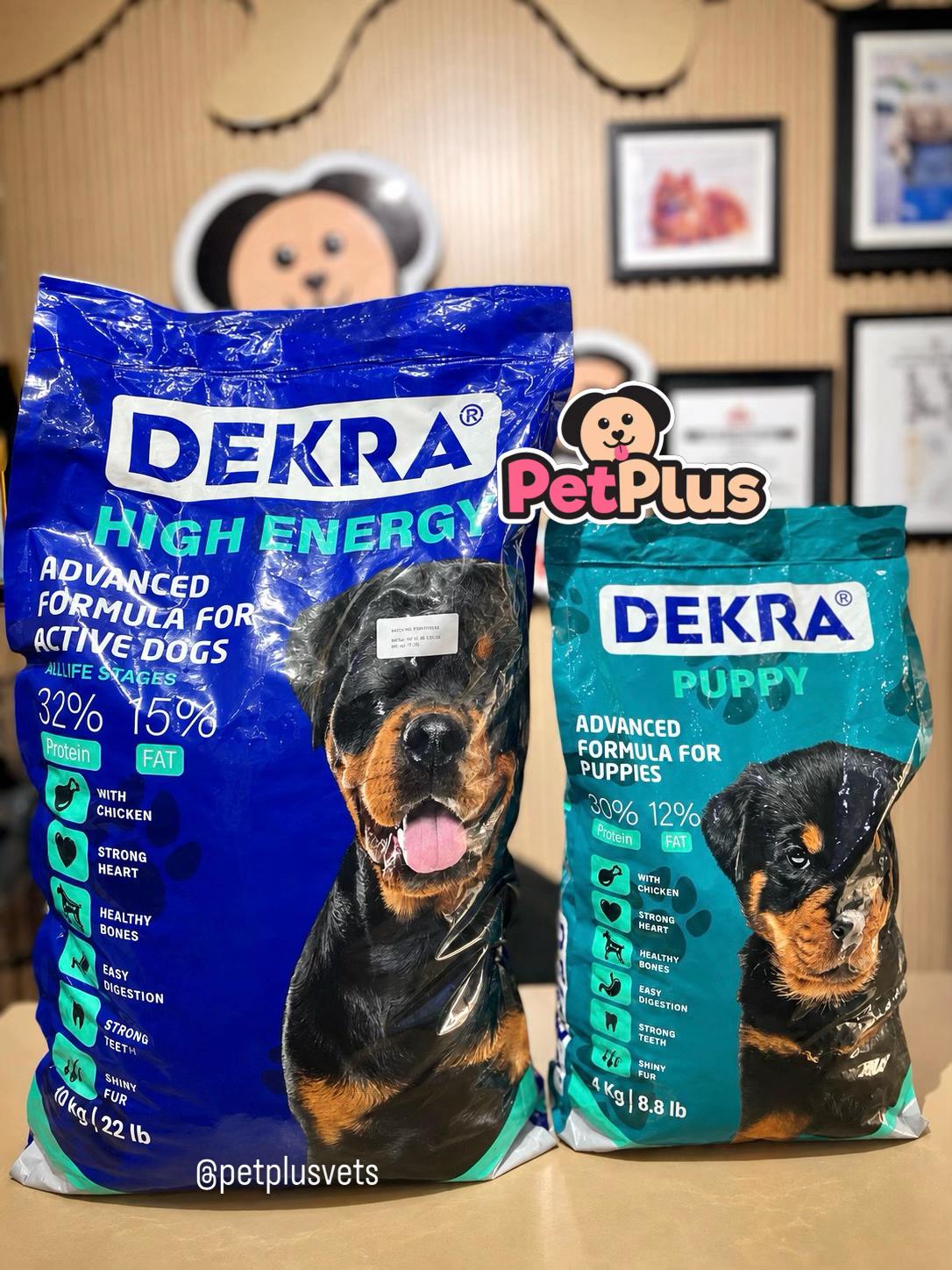 @PET STORE IN IBADAN| PETPLUS