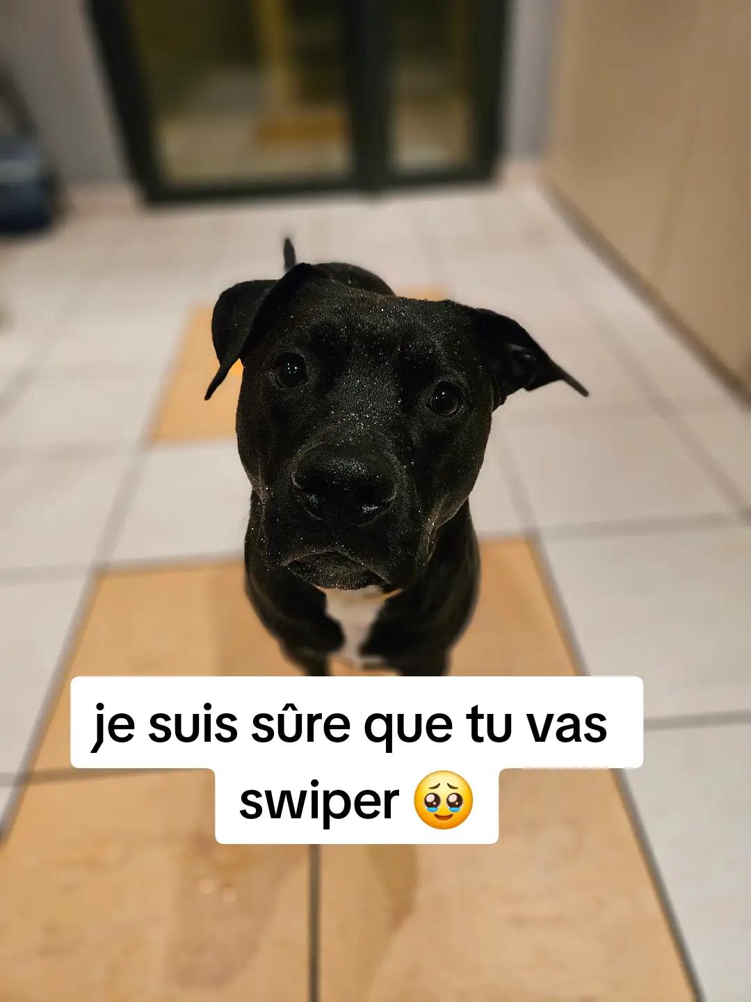 @✨️NICOLAS✨️