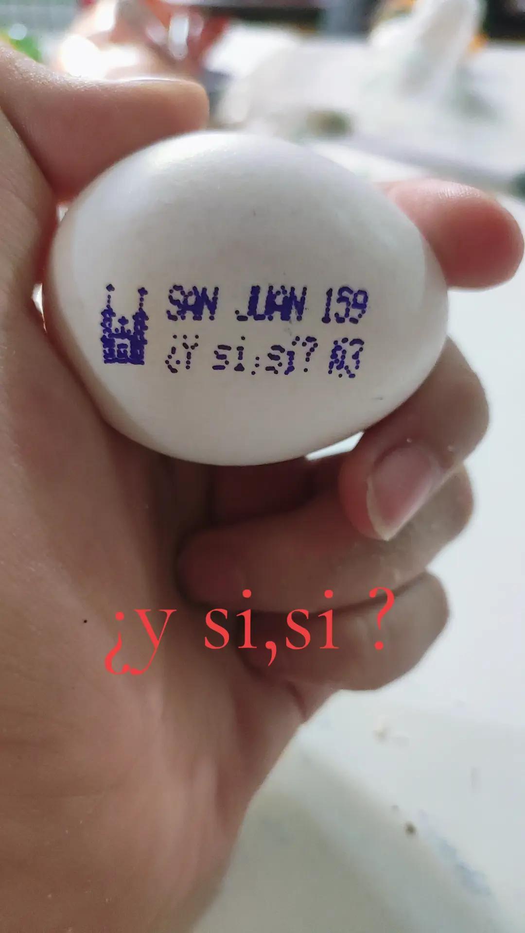 @๐ชถ๐๐๐ฏ๐ฆ๐ก๐ฆ๐ท๐ธ๐ธ๐๐ชถ