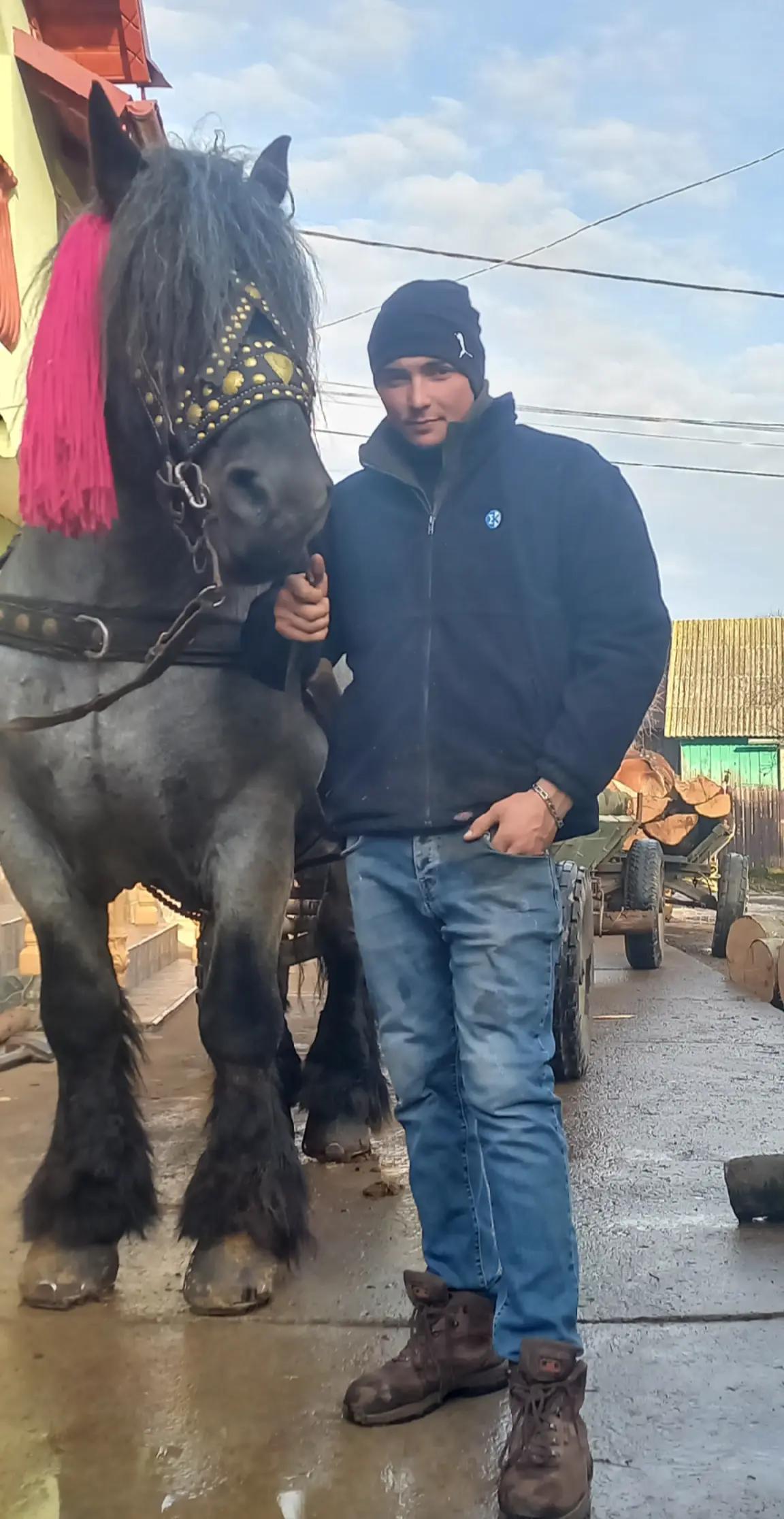 @Buga Ionuț