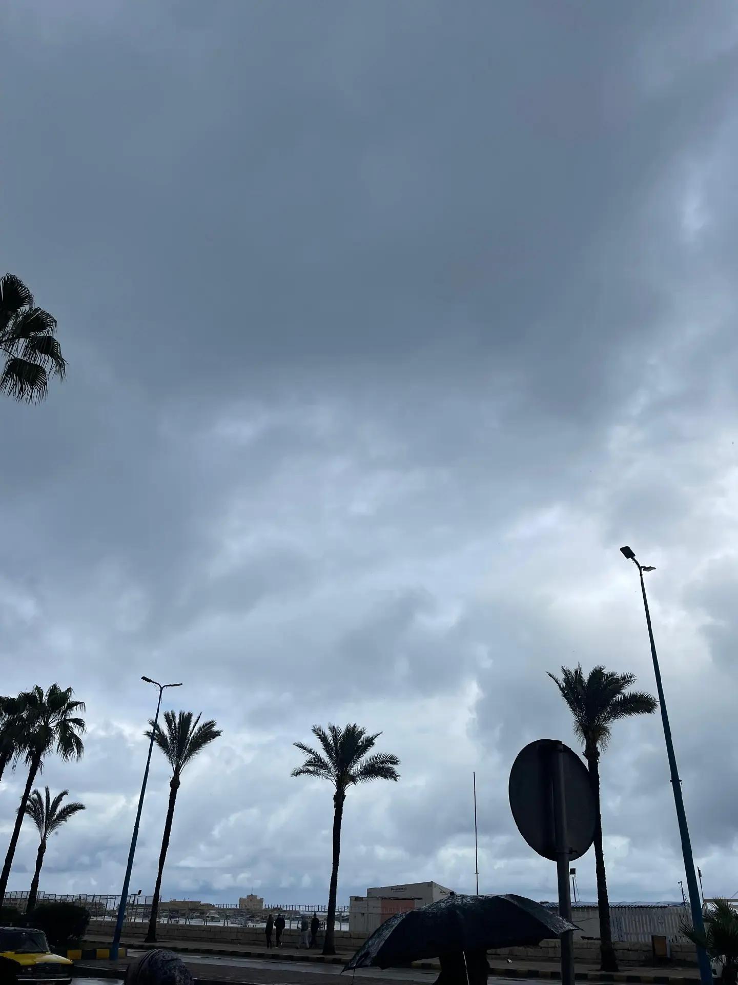 @بودي حفناوي 🖤
