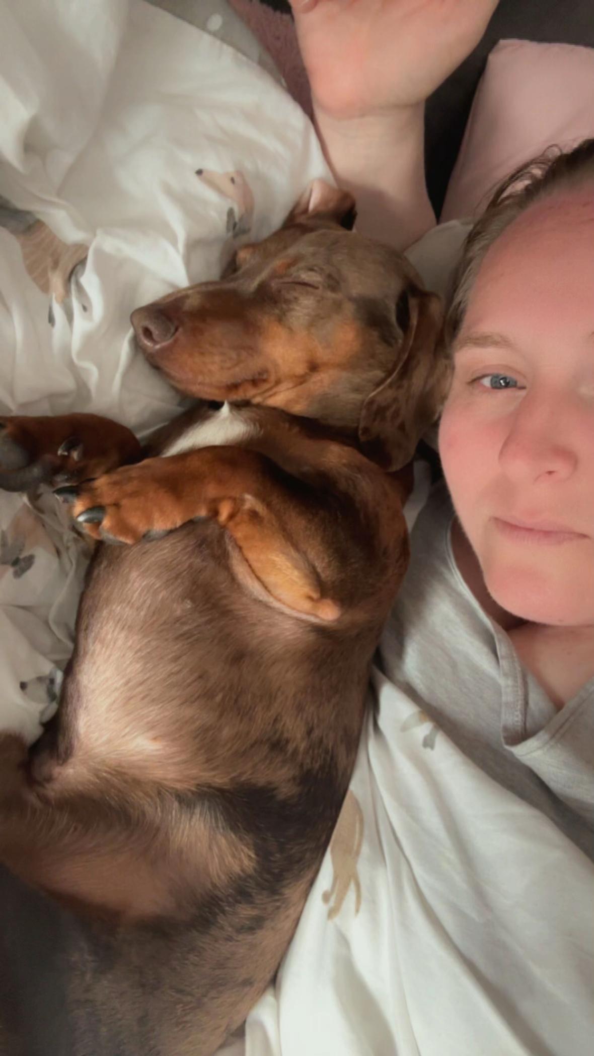 @marleythesausagedog