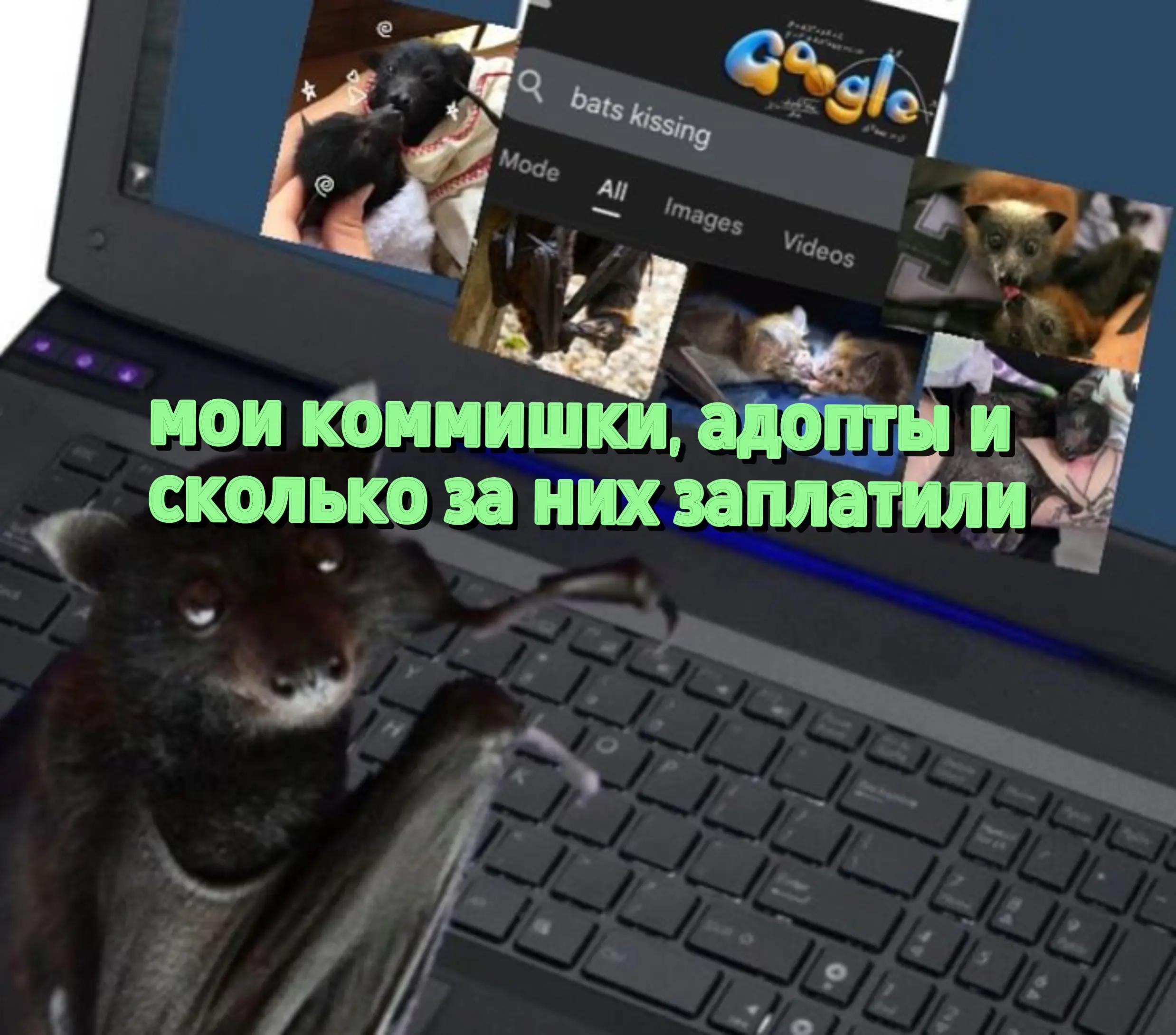 @chayelyubka