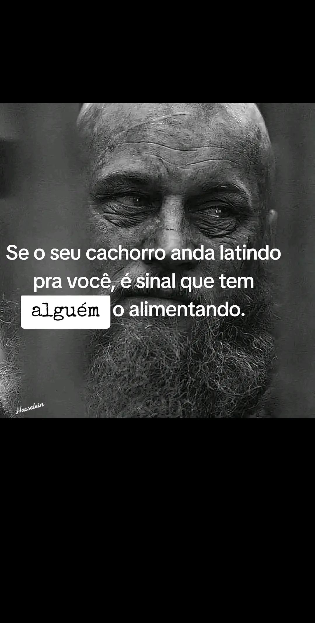 @user04556264564