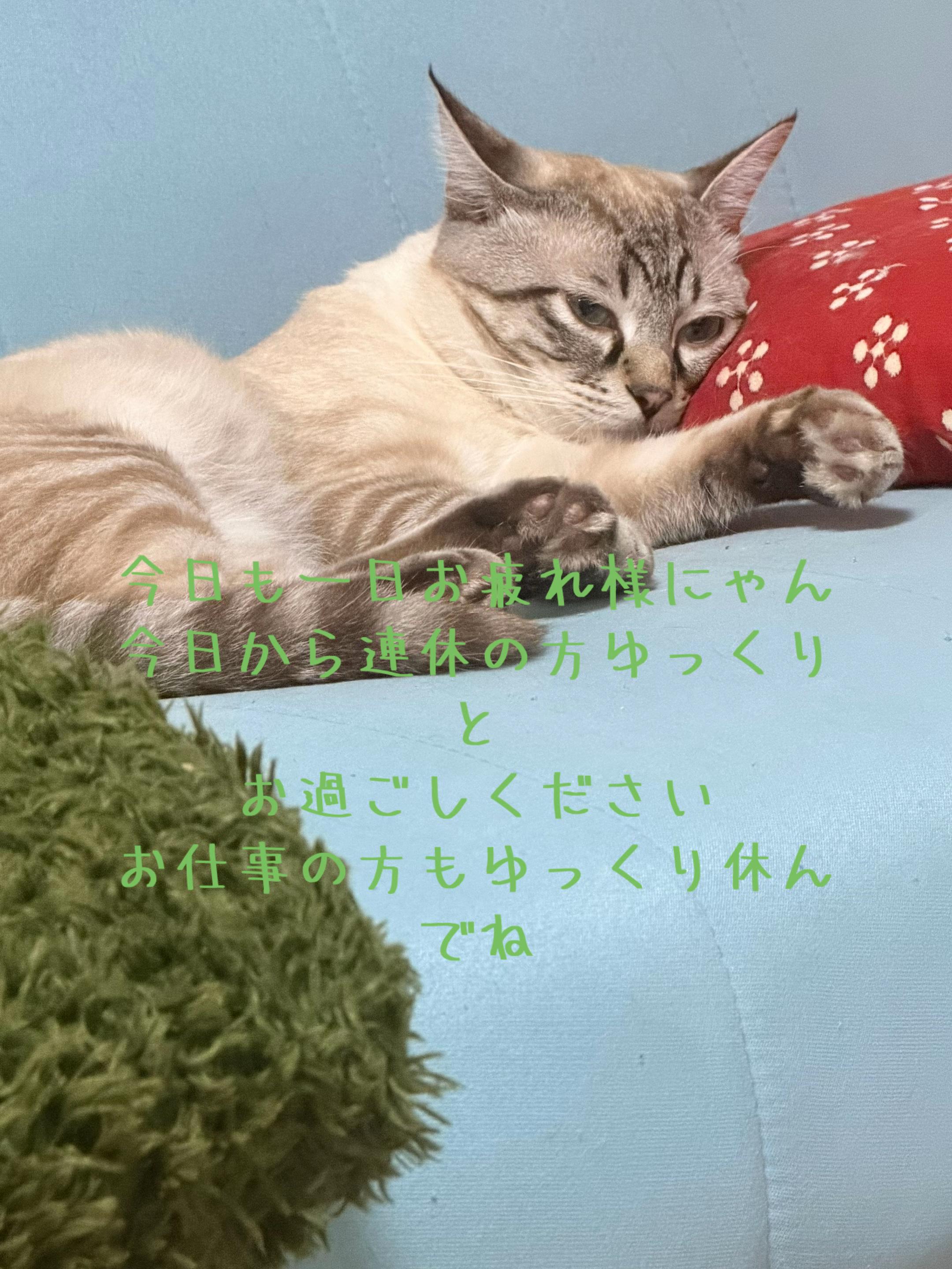 @🥀黒澤正志🥀