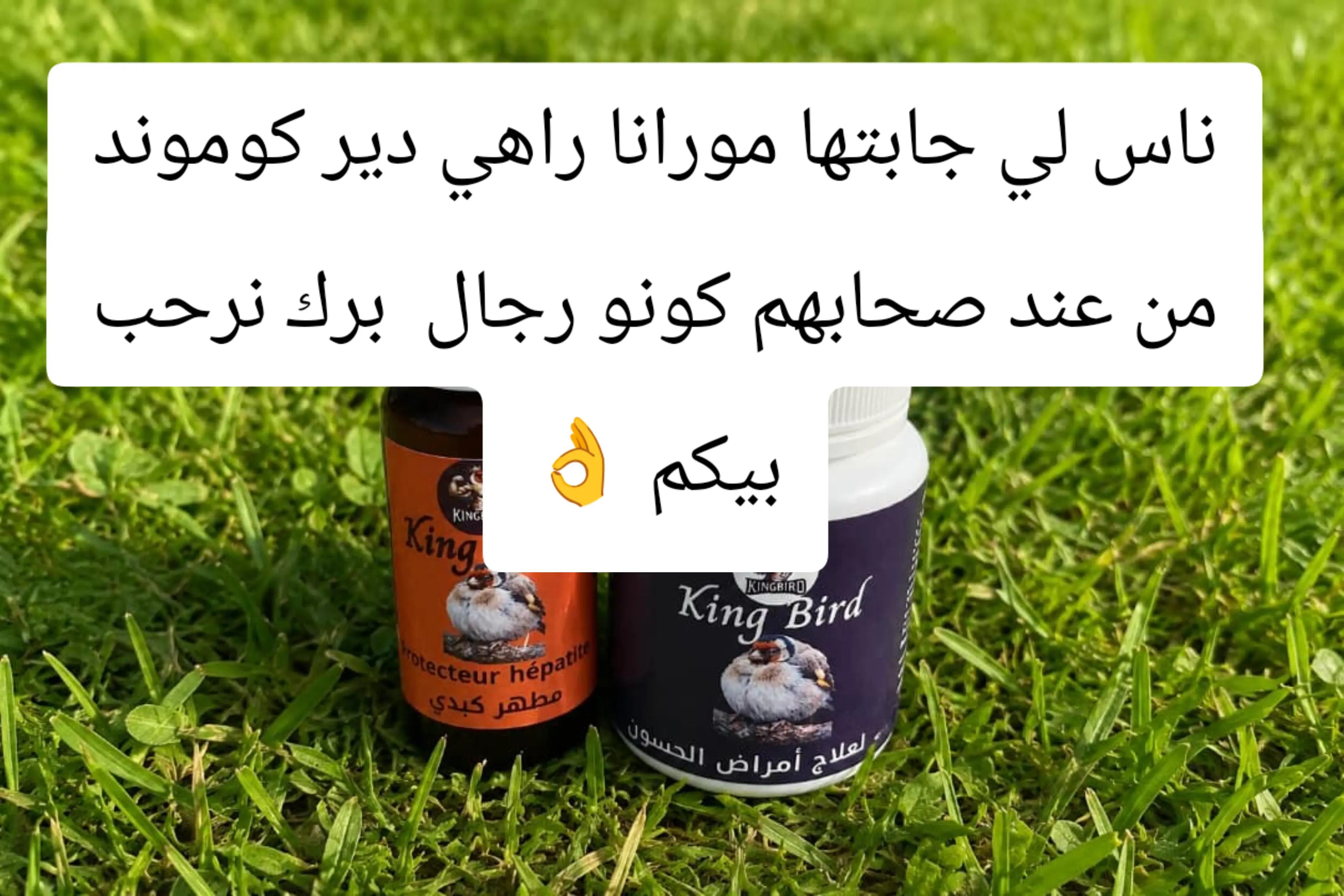 @King Mohamed 🐦
