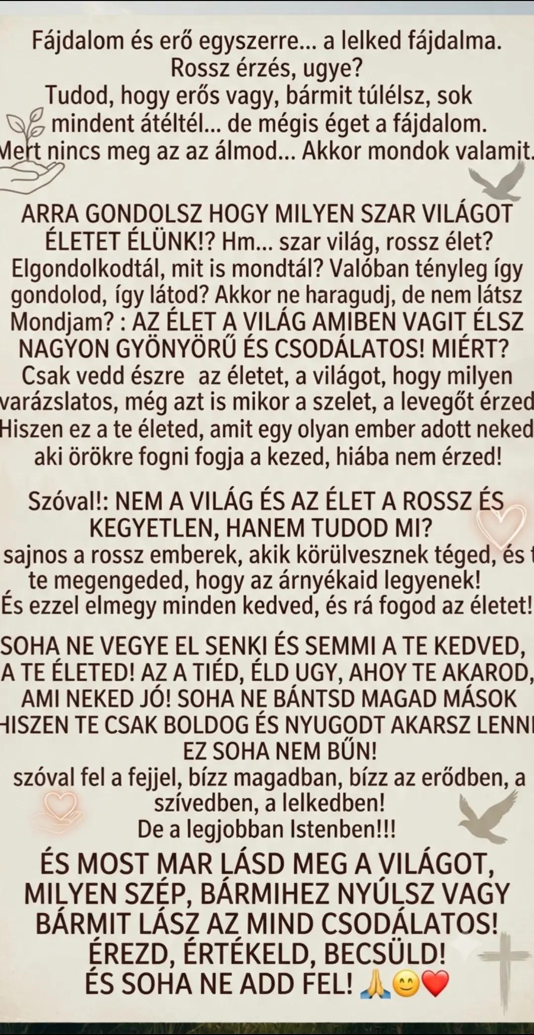 @Ramona Fülöp