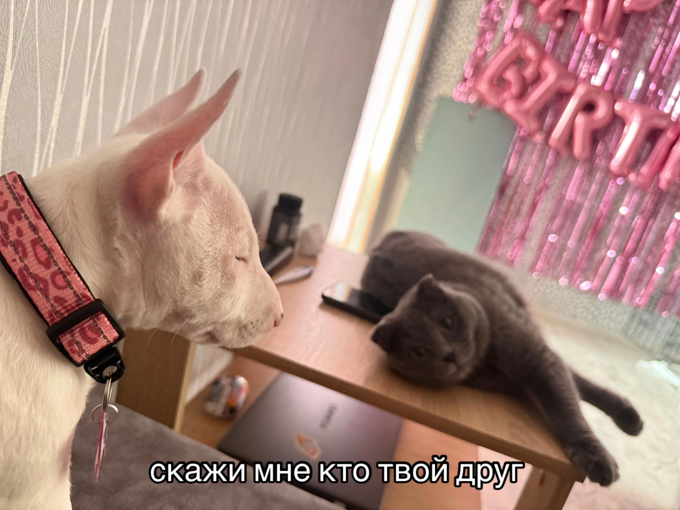 @Галя😏