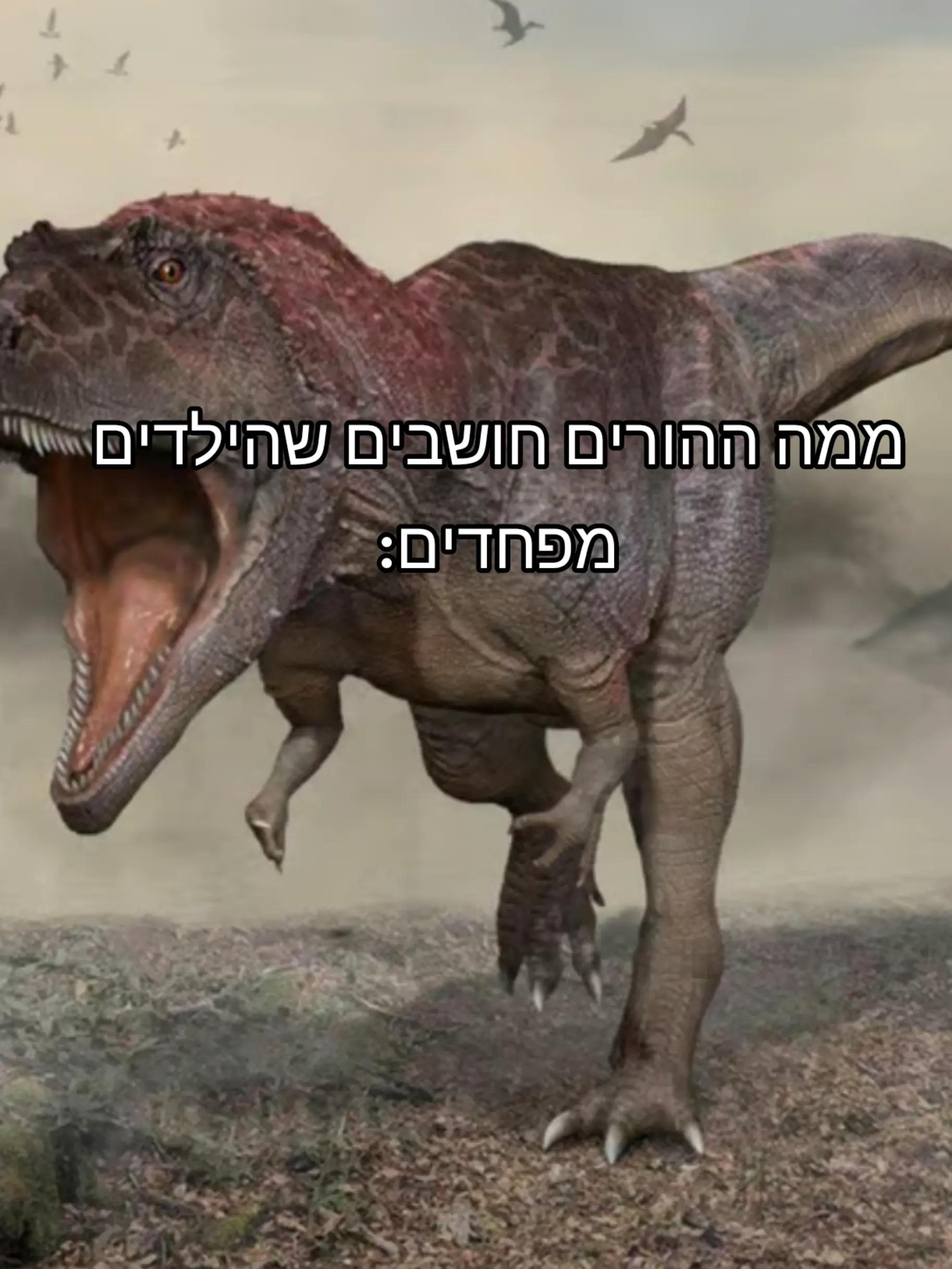 @MACCABI.1906๐