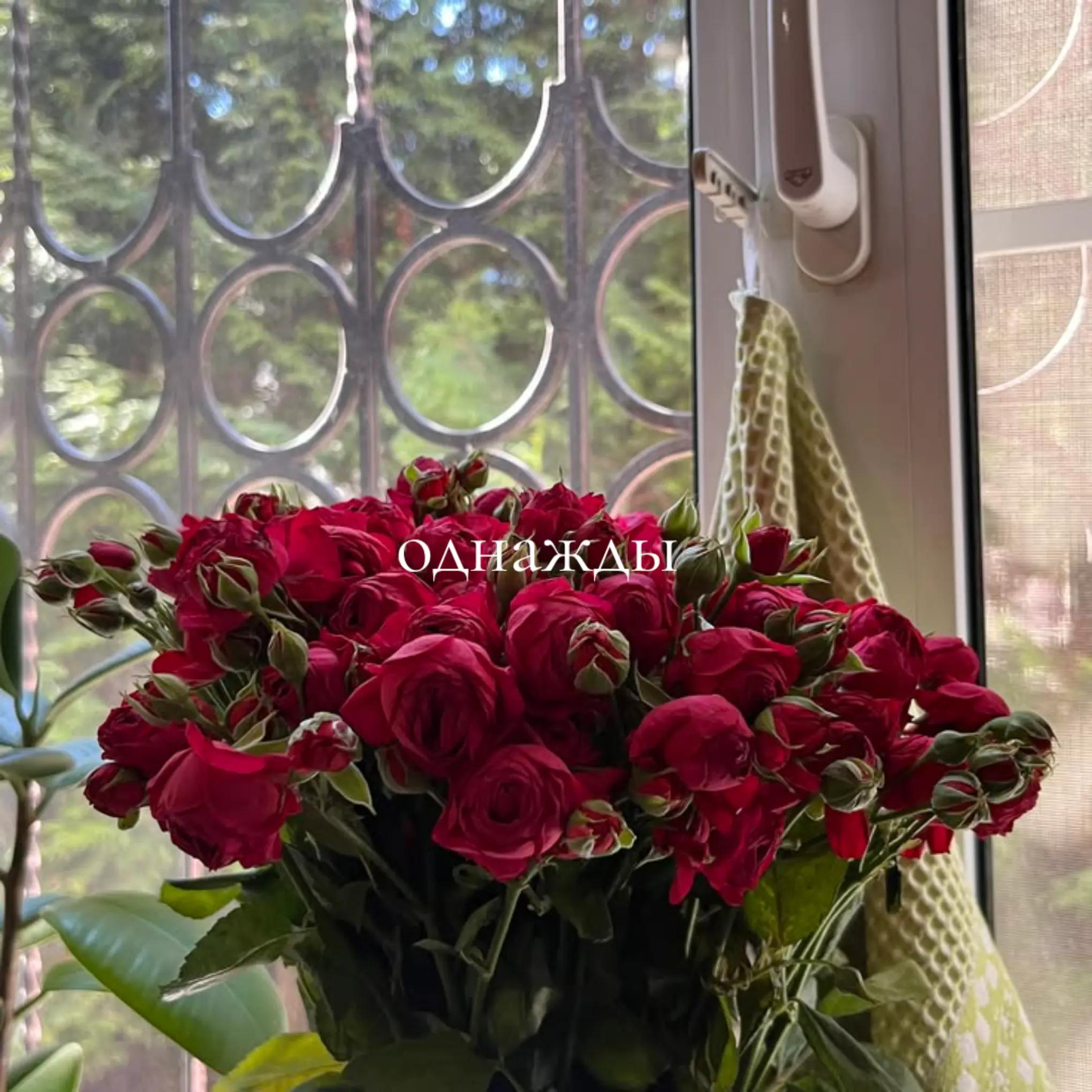 @здесь грустно