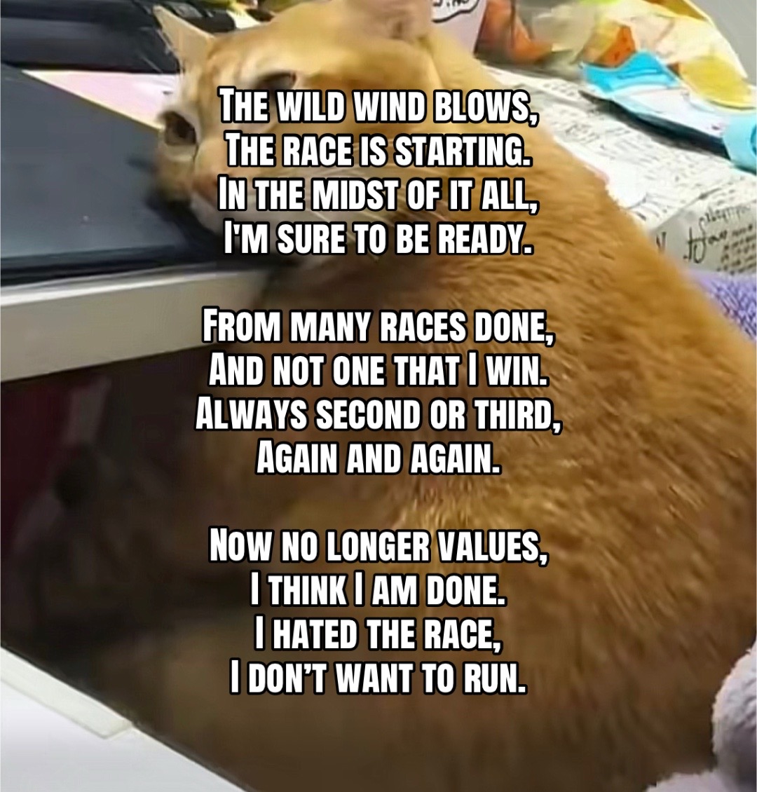 @Eichhörnchen