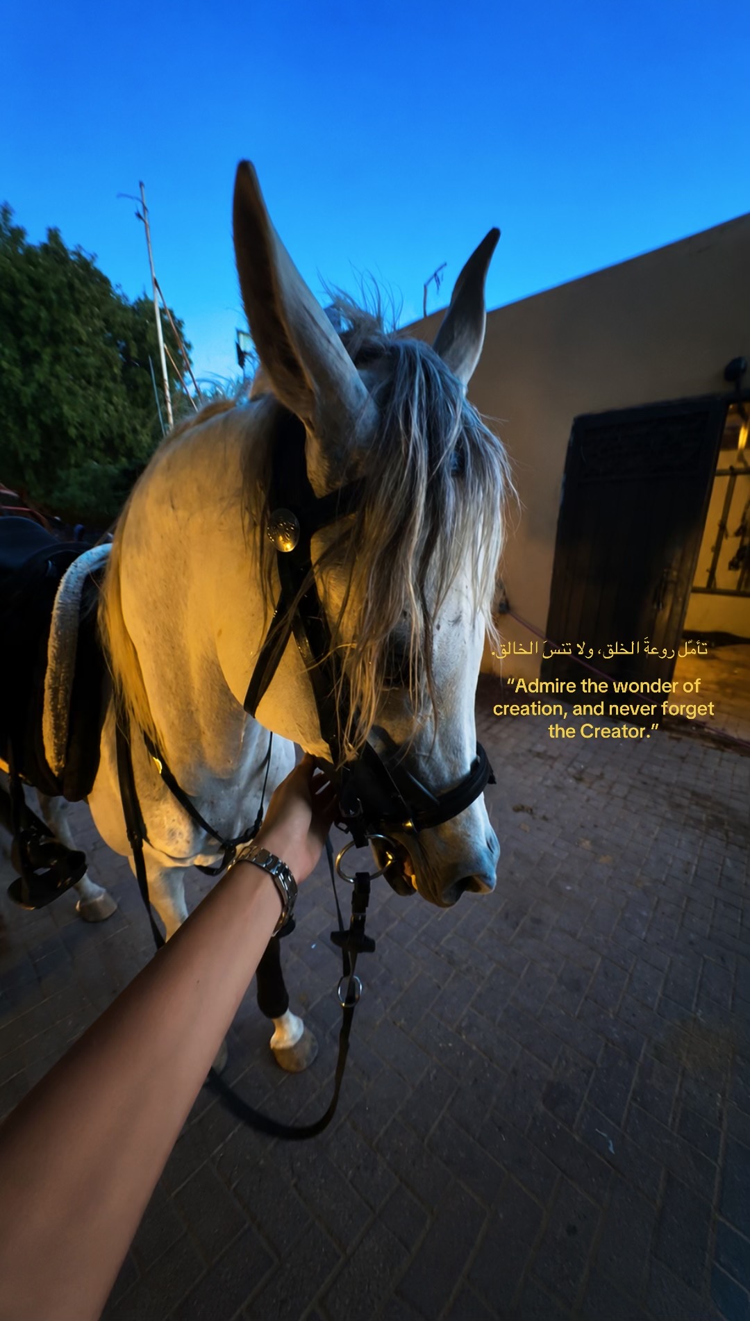 @𝒾𝒷𝓇𝒶𝒽𝒾𝓂