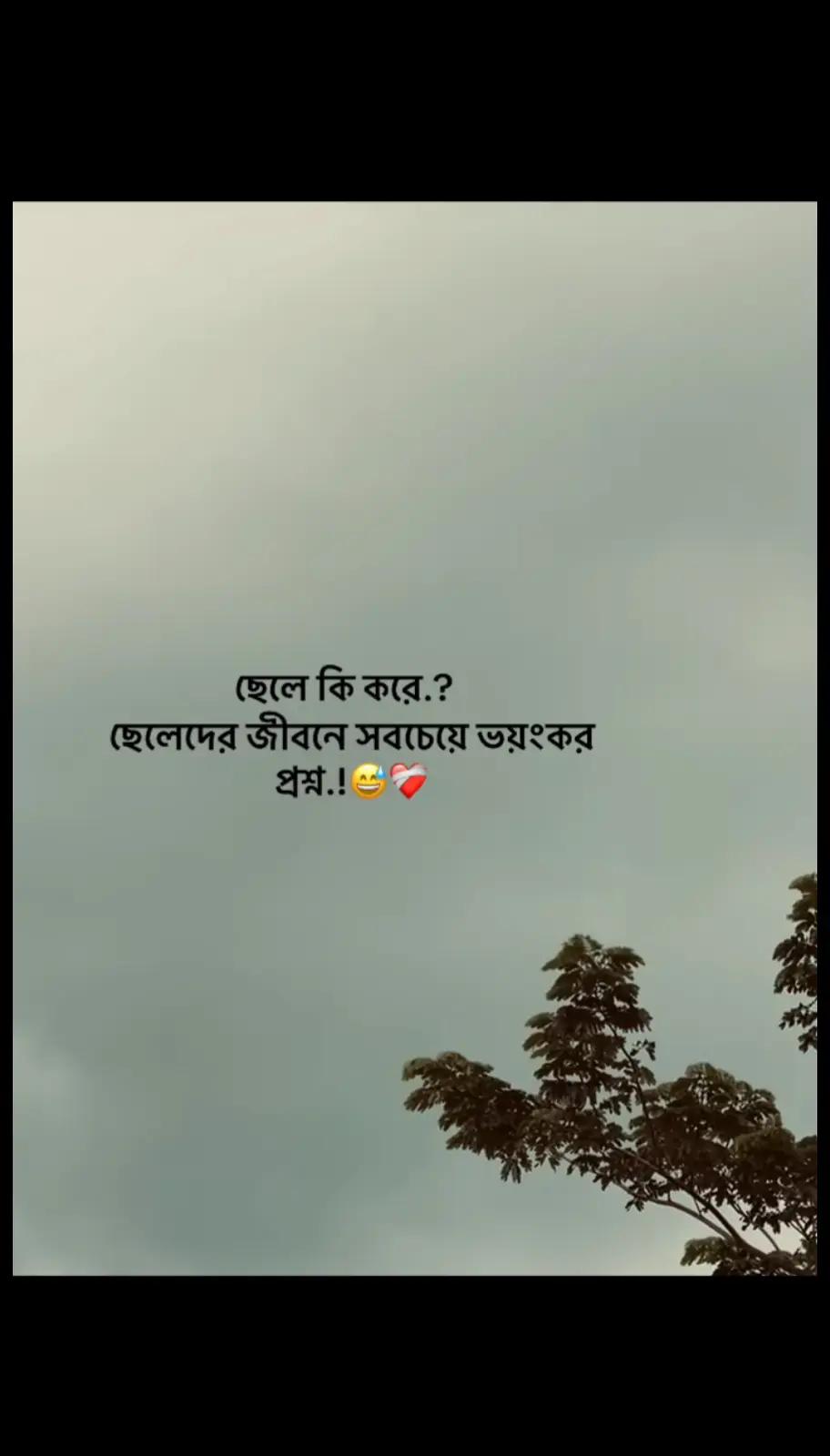 @💫🥀 ⊶N⊶O⊶Y⊶O⊶N⊶🥀💫