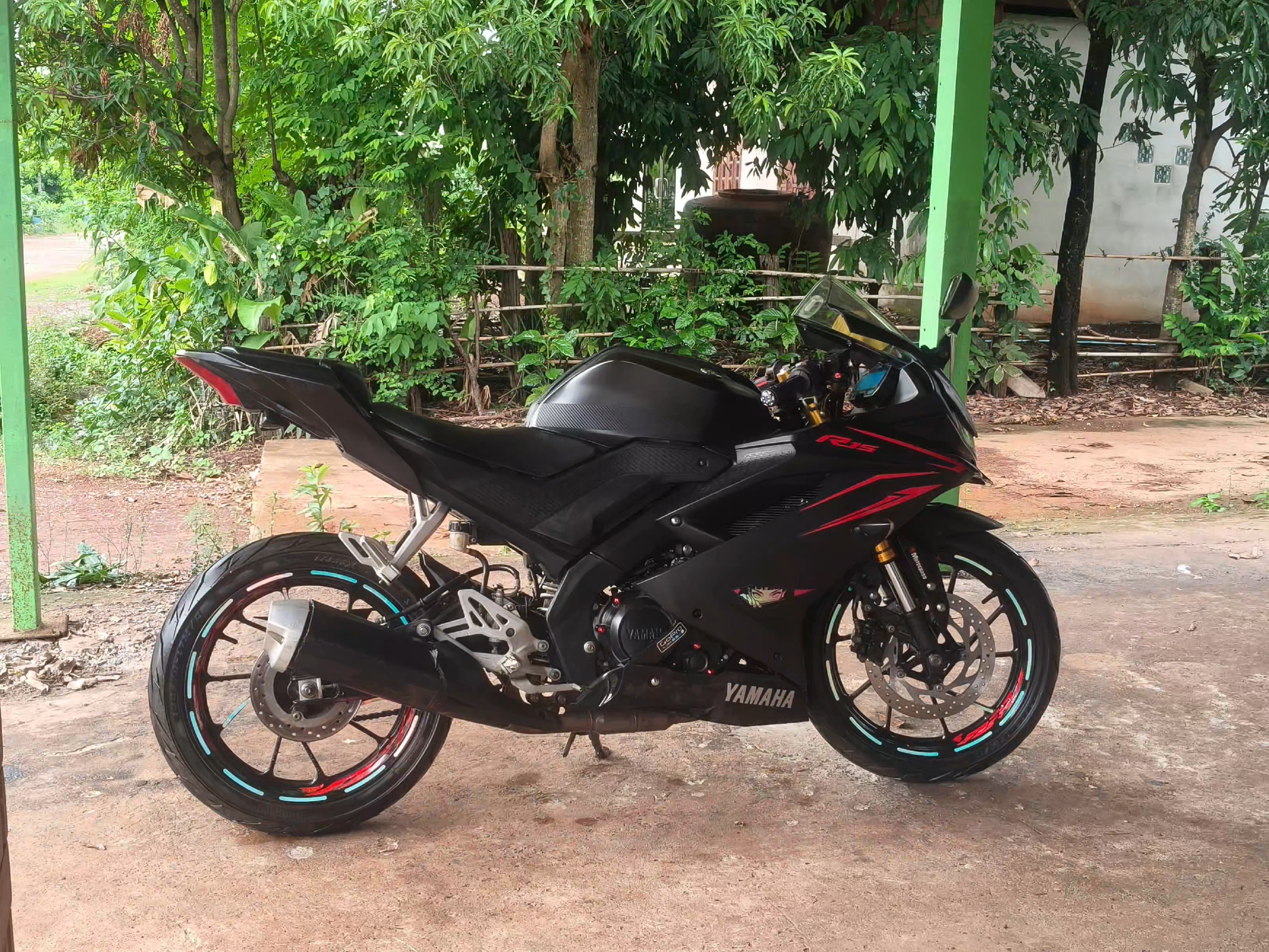 @วันนึ่งเดินเข้าป่าไม่ให้เธอไป