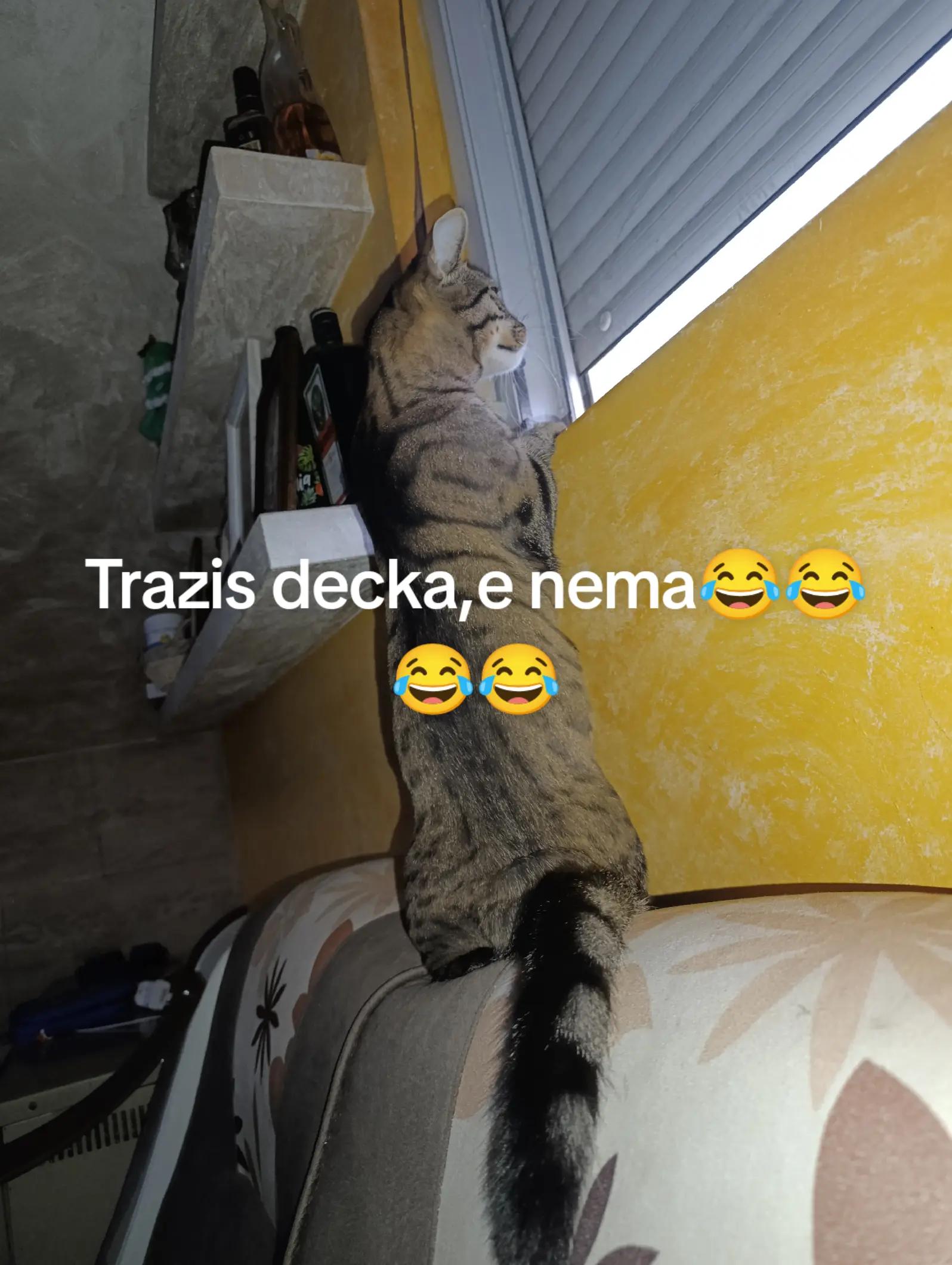 @MozakNaOdmoru