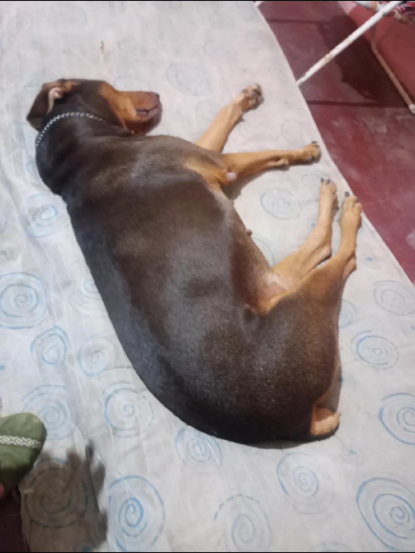 @Héctor