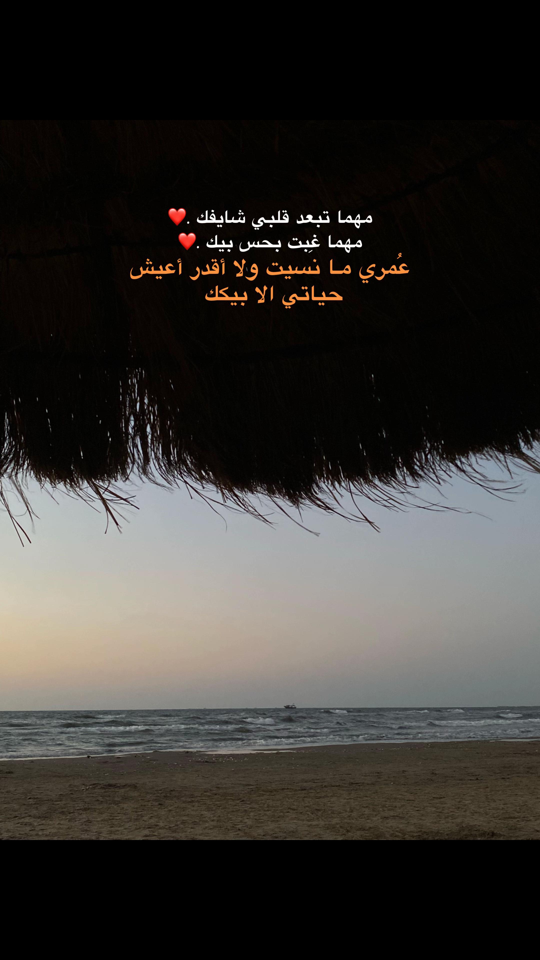 @shahd nassar