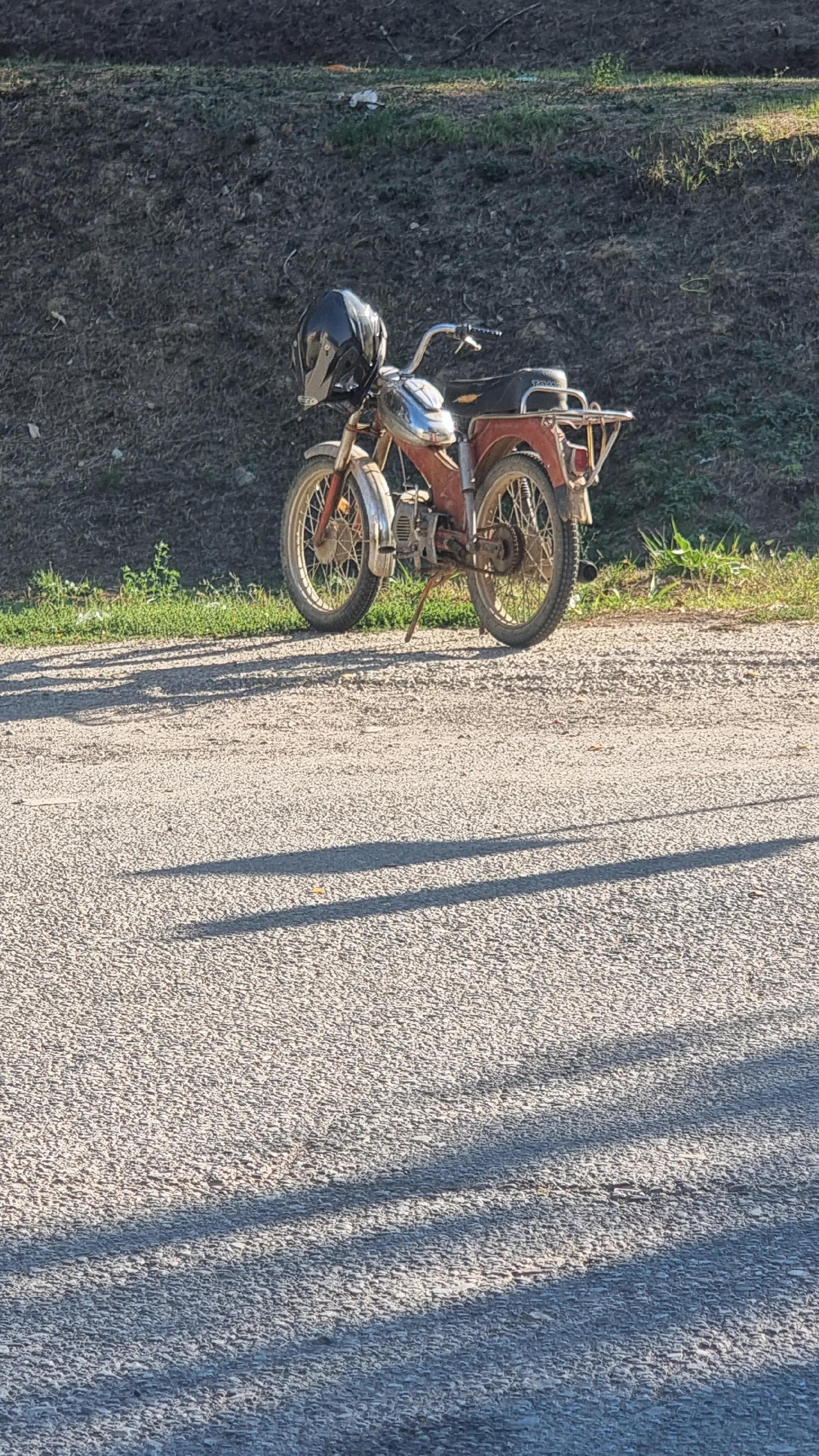 @guliša