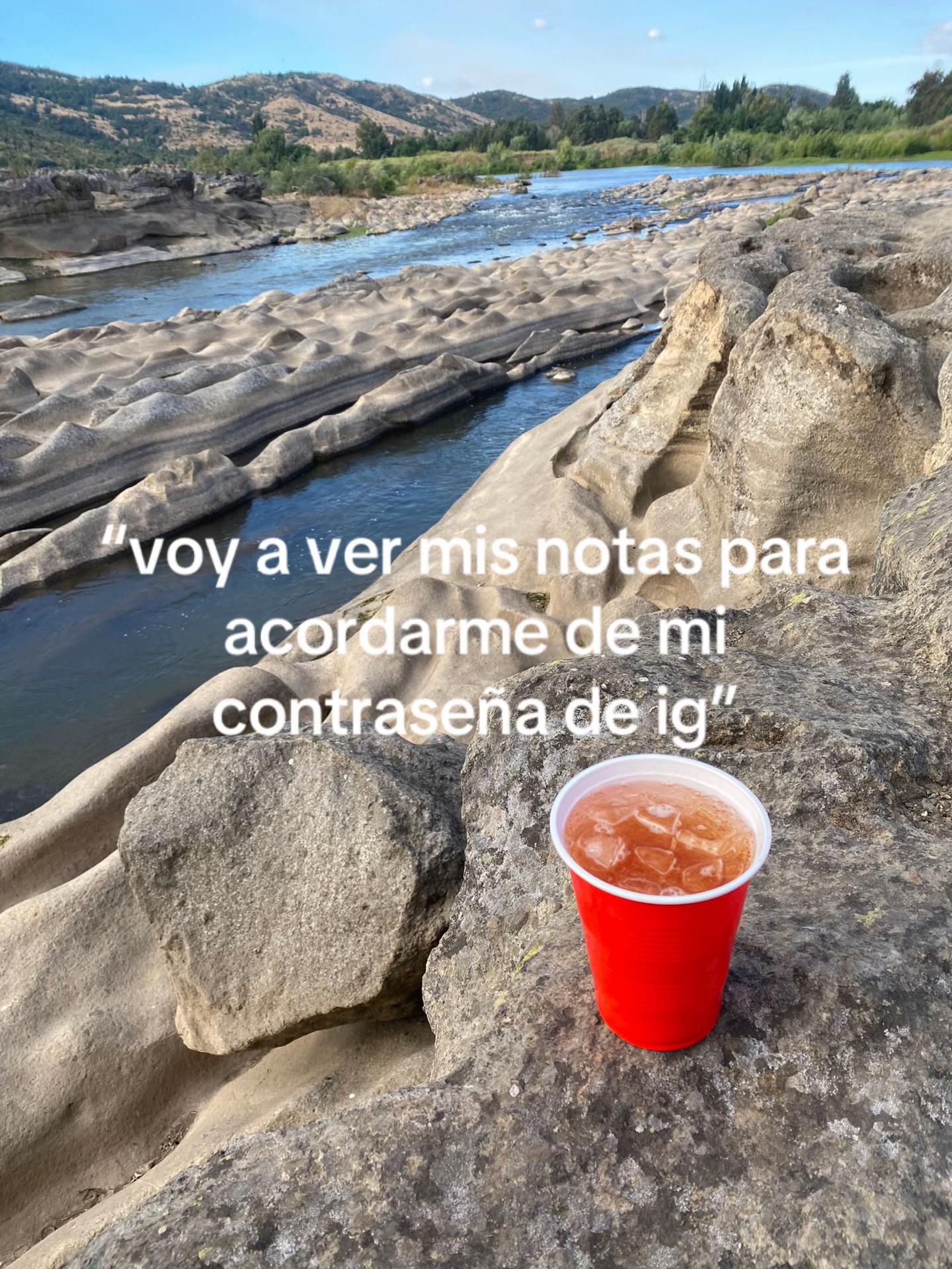 @turmaalina_
