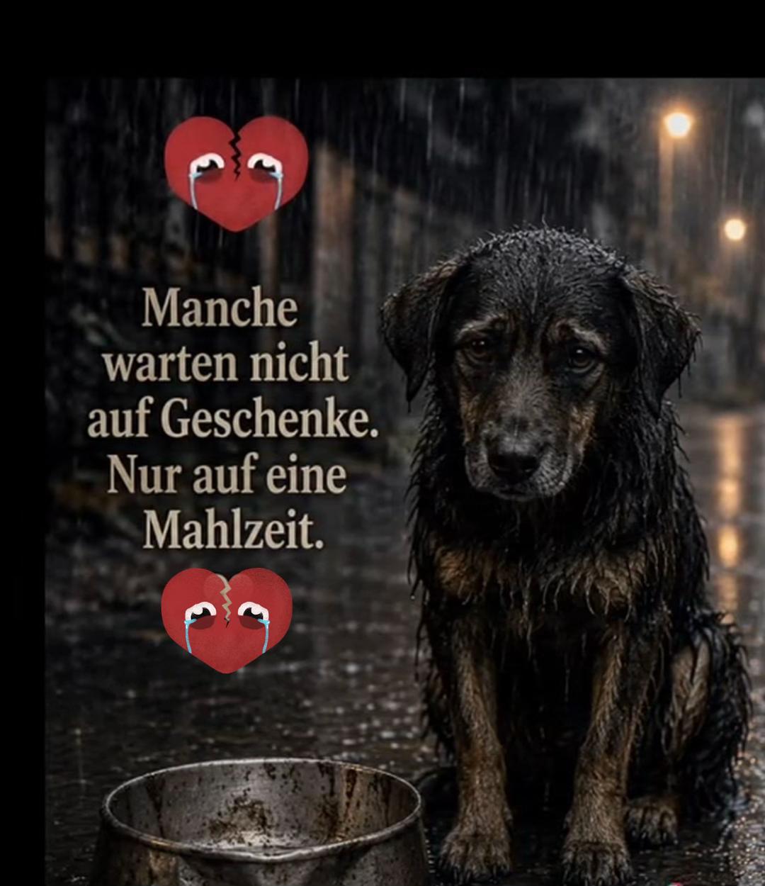 @Lua Team🐈🐕🦺Löwenherz❤️🦁