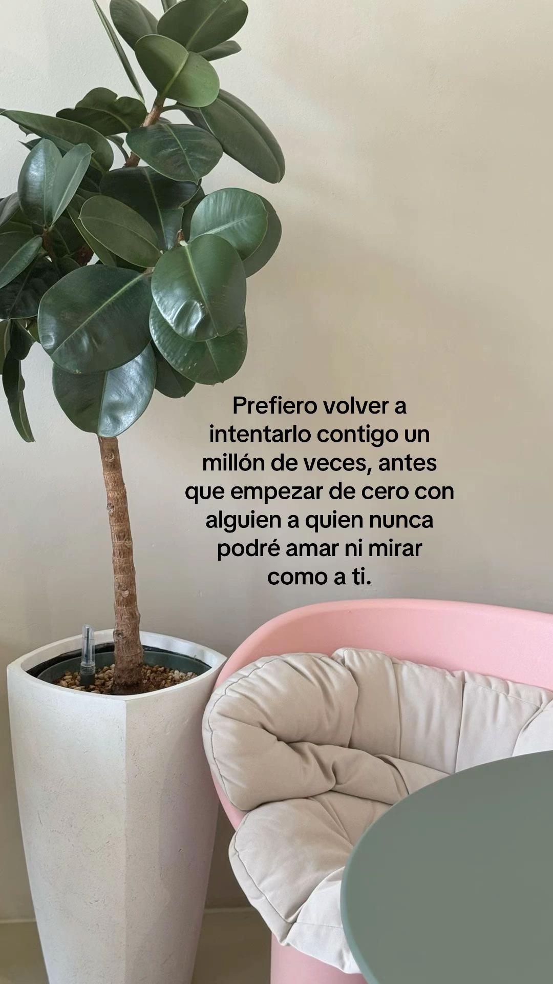 @&bull;ELI&bull;