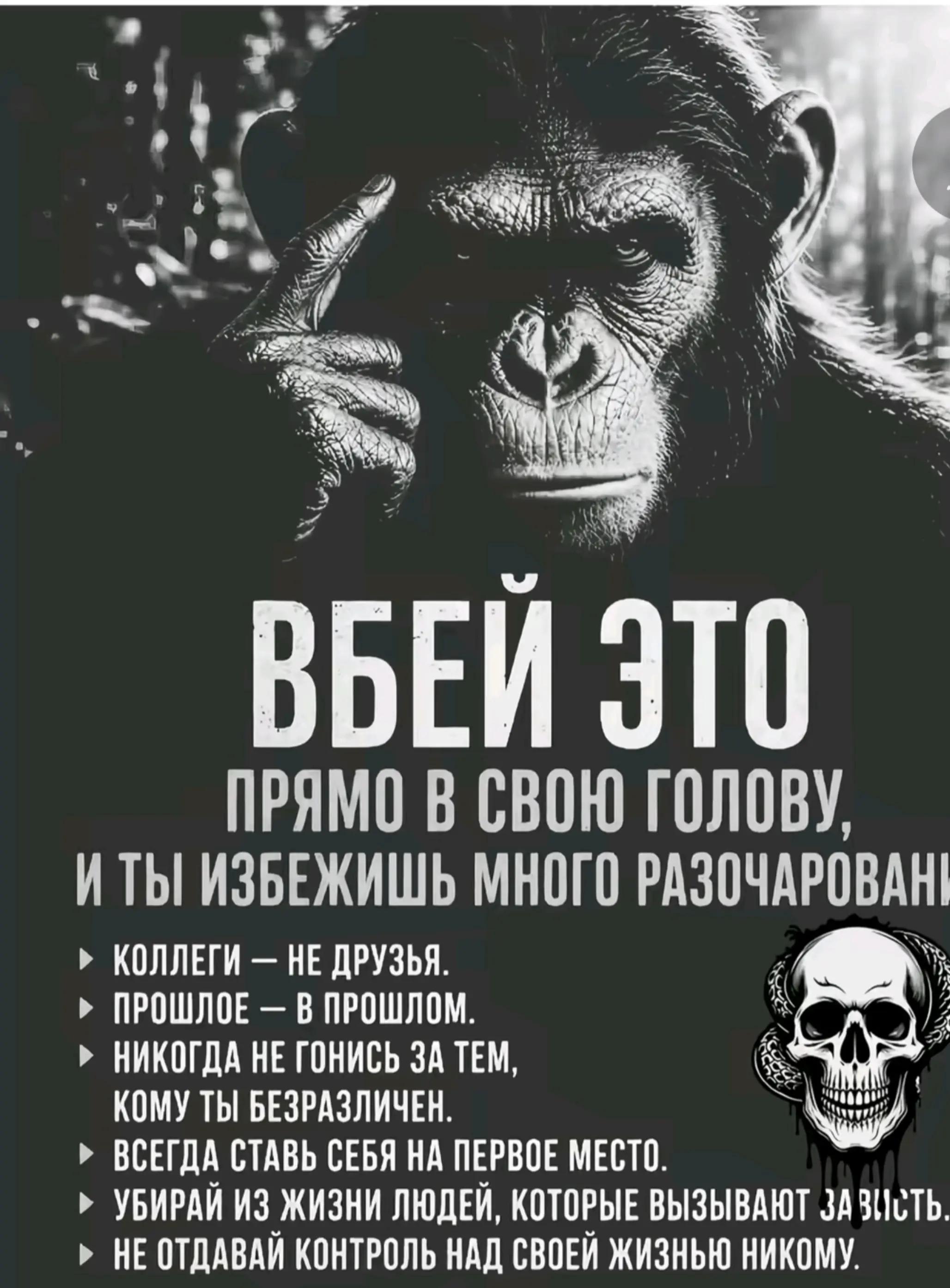 @Mishka