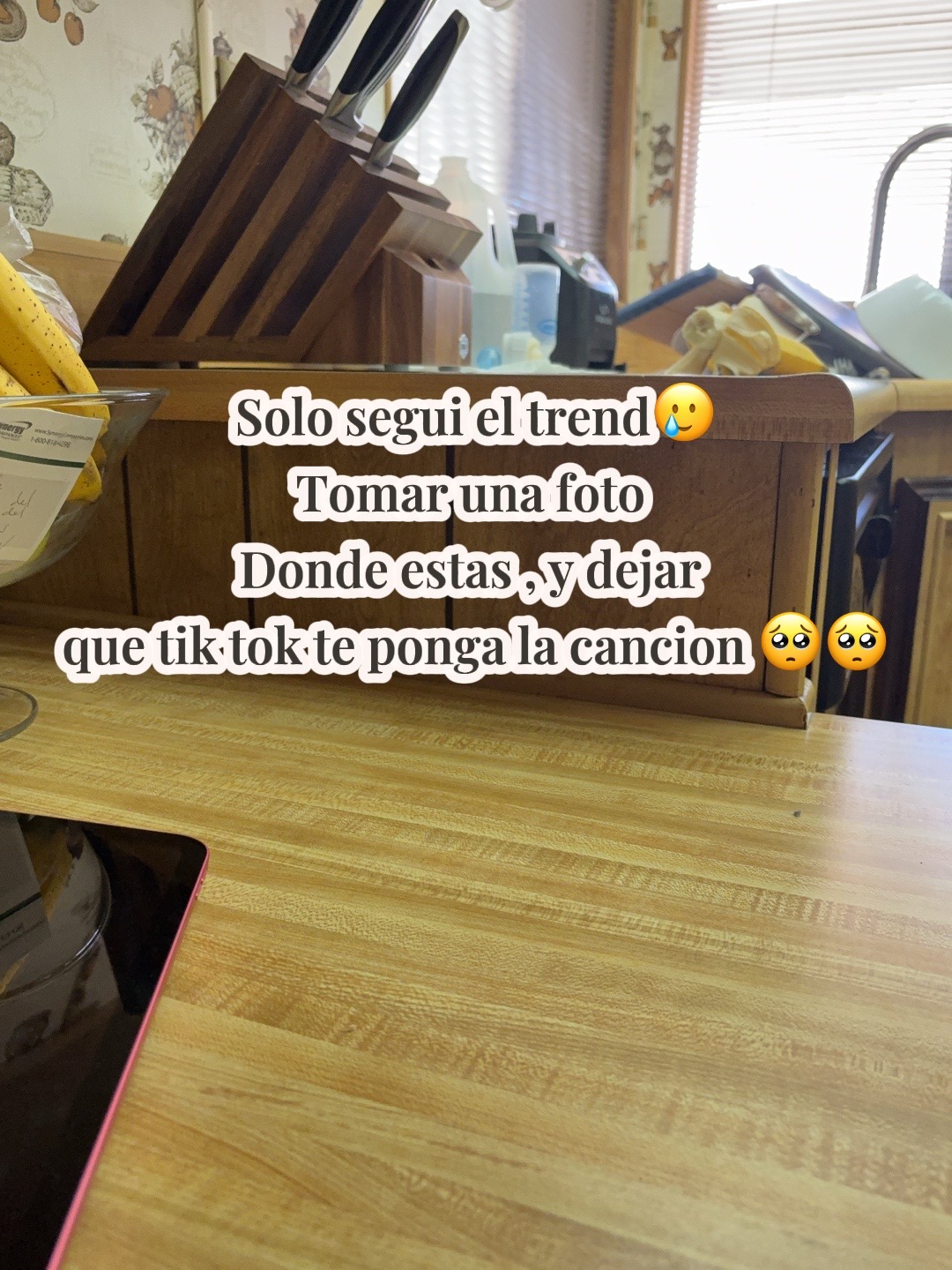@mariagonzalezconsultora
