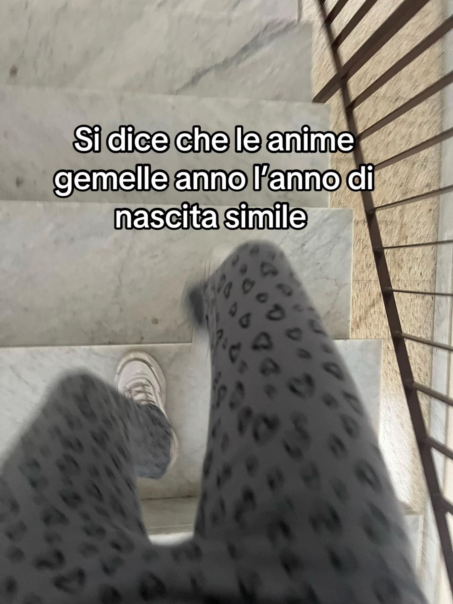 @Noe_spamm👑⭐️