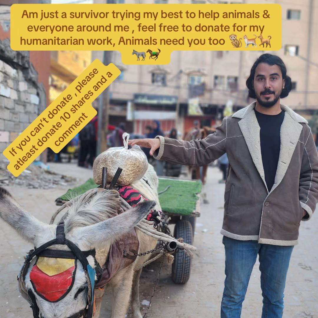 @Gaza Animal Rescue
