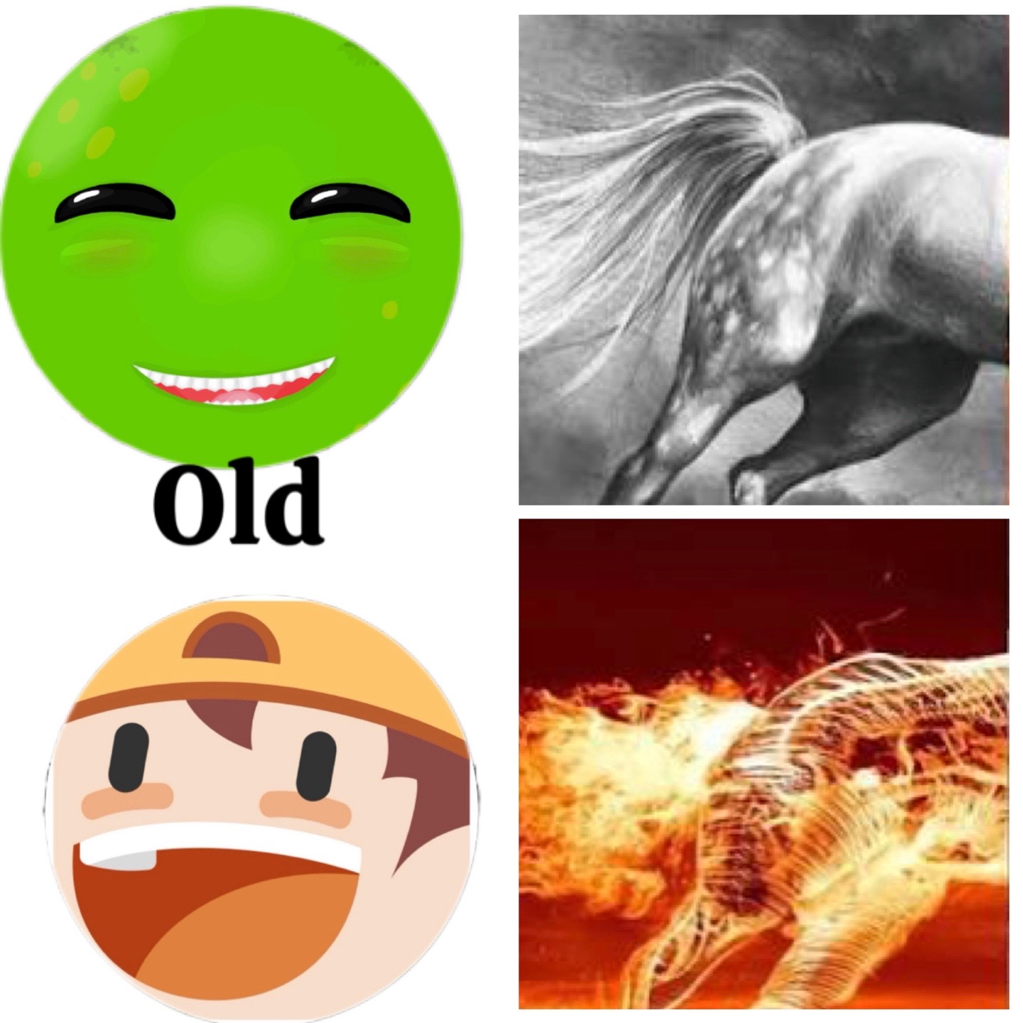 @Is44, Karl 44