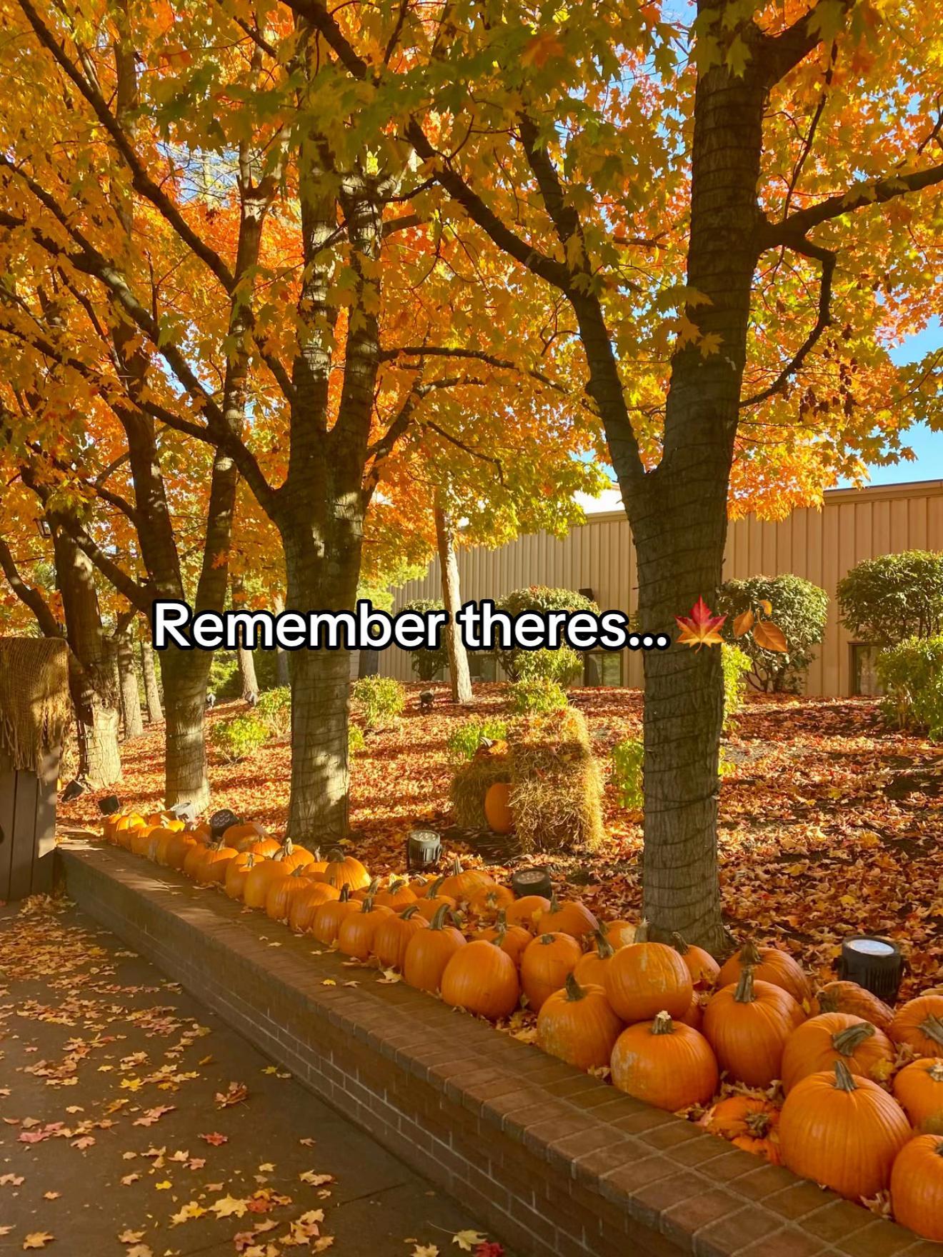 @Cosyseasonglory🍂🎃🎄