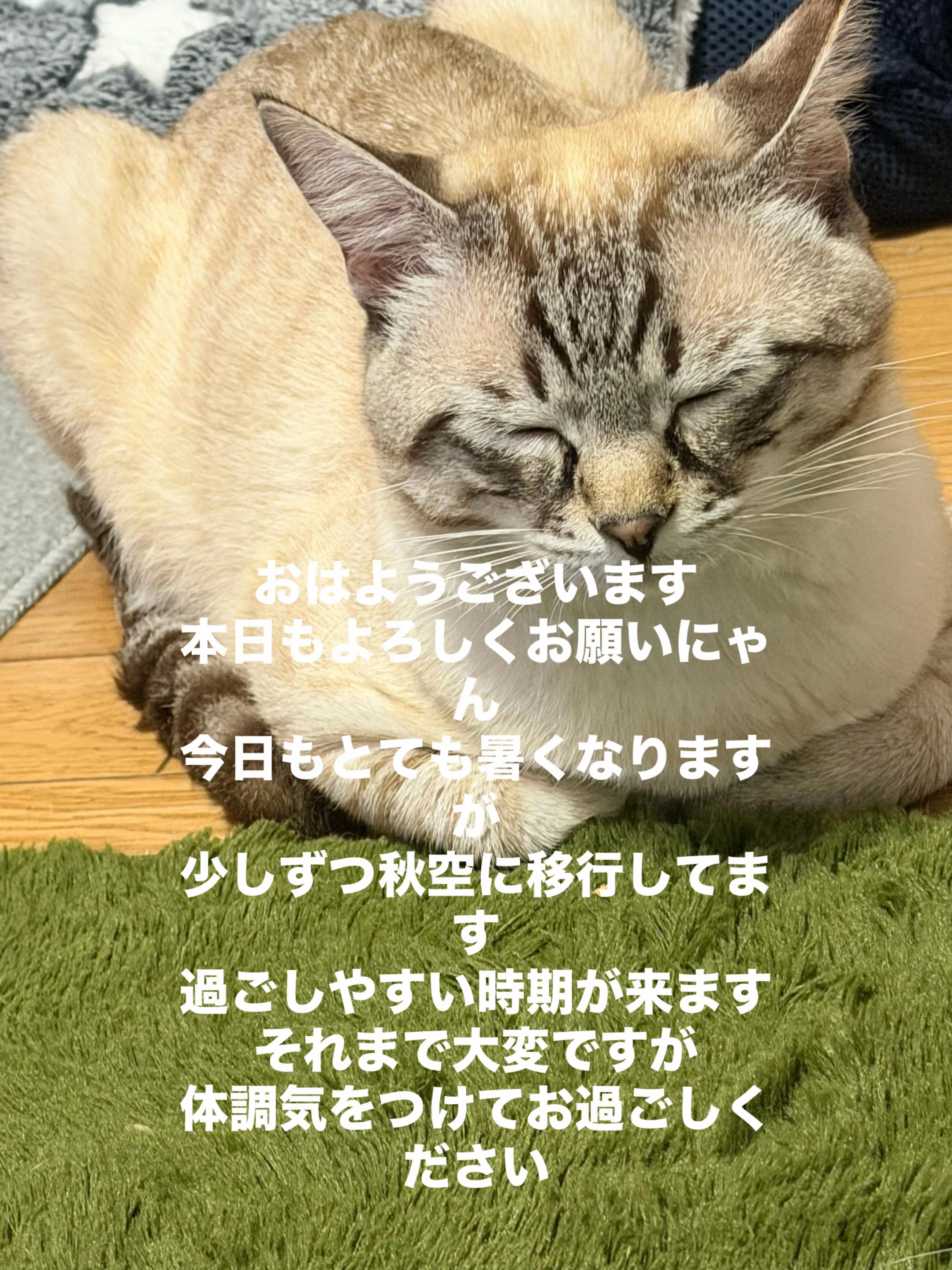 @ð¥é»æŸ€æ£å¿ð¥