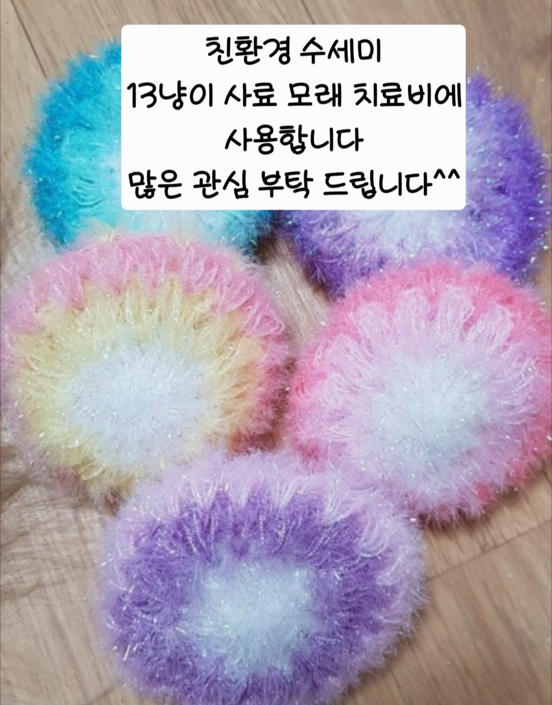 @🩵냥냥이하우스 13냥3멍💜