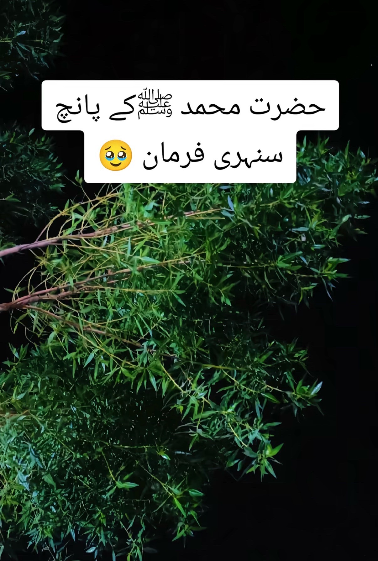@UK khan 💕